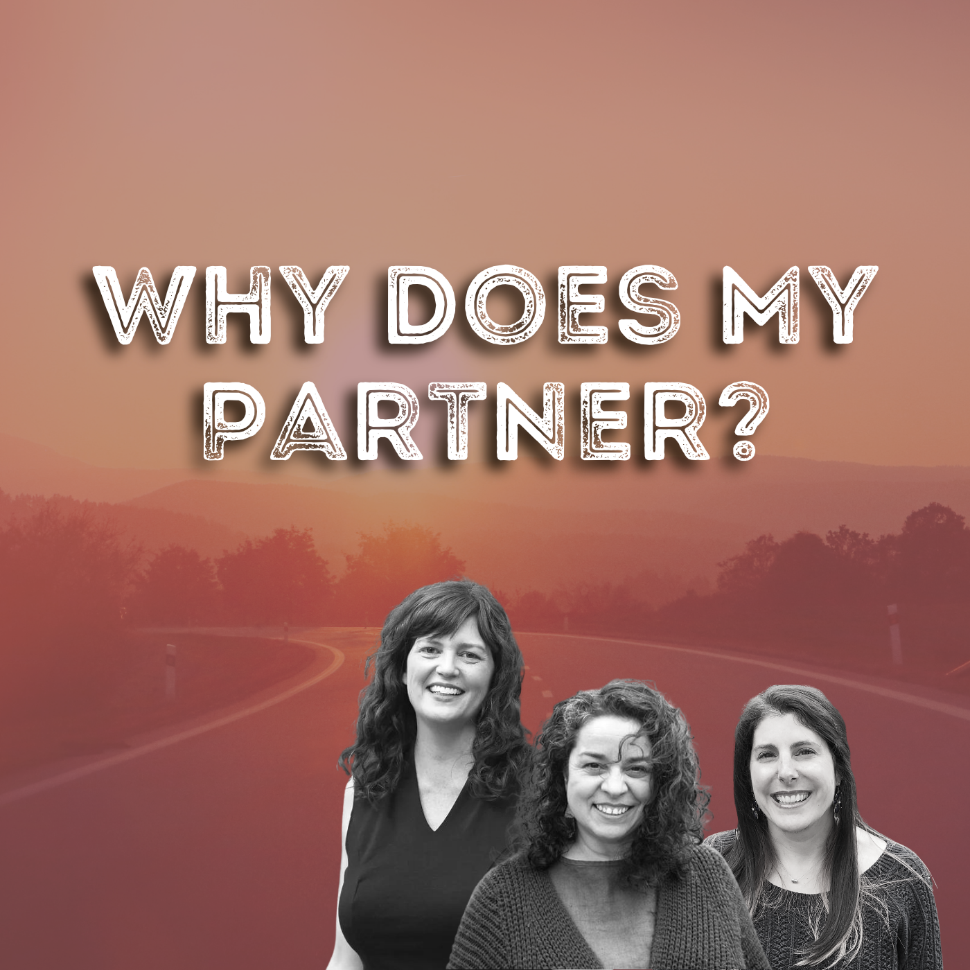 Why Does My Partner Podcast