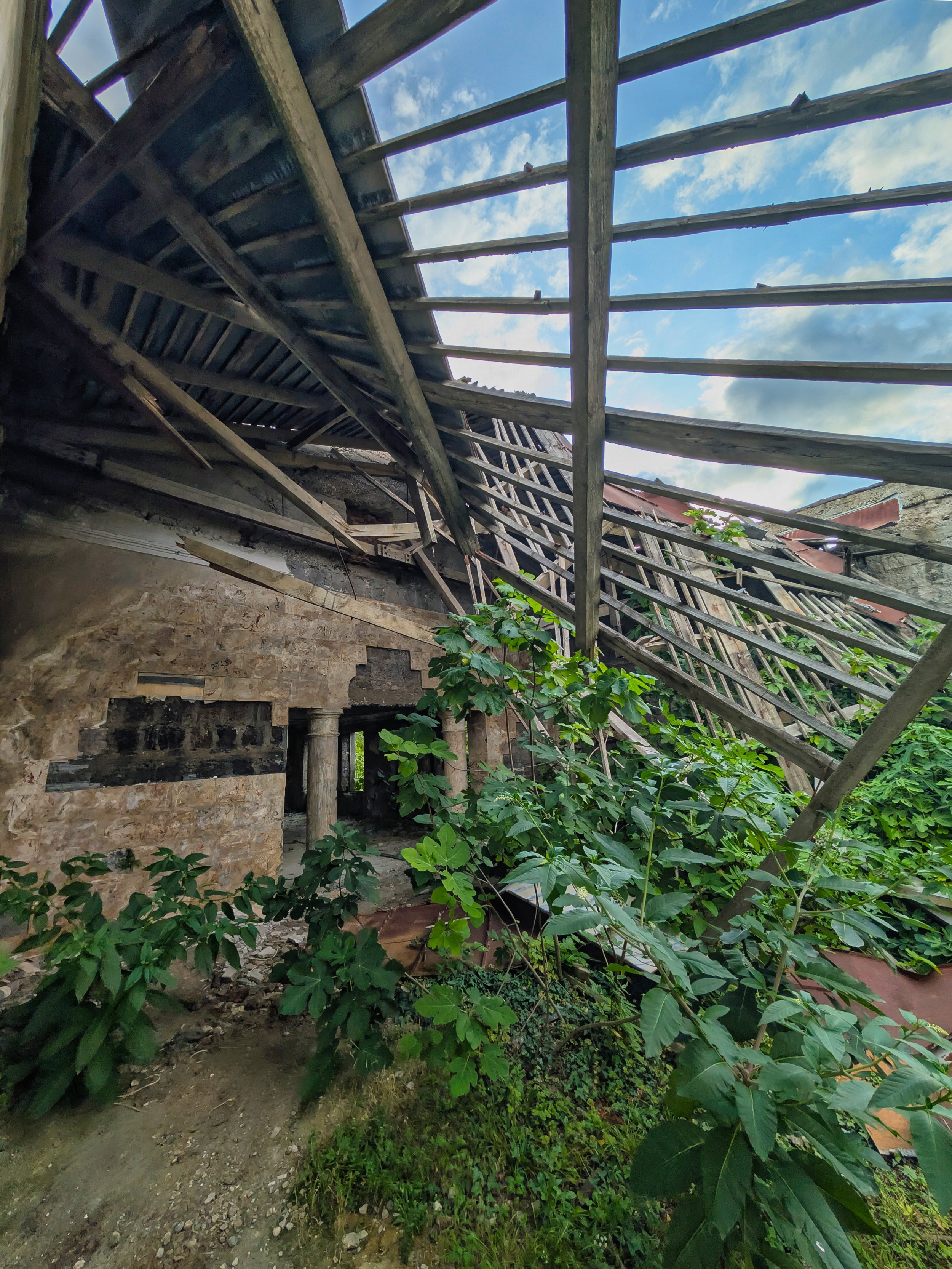 PXL_20250714_145119314.jpg