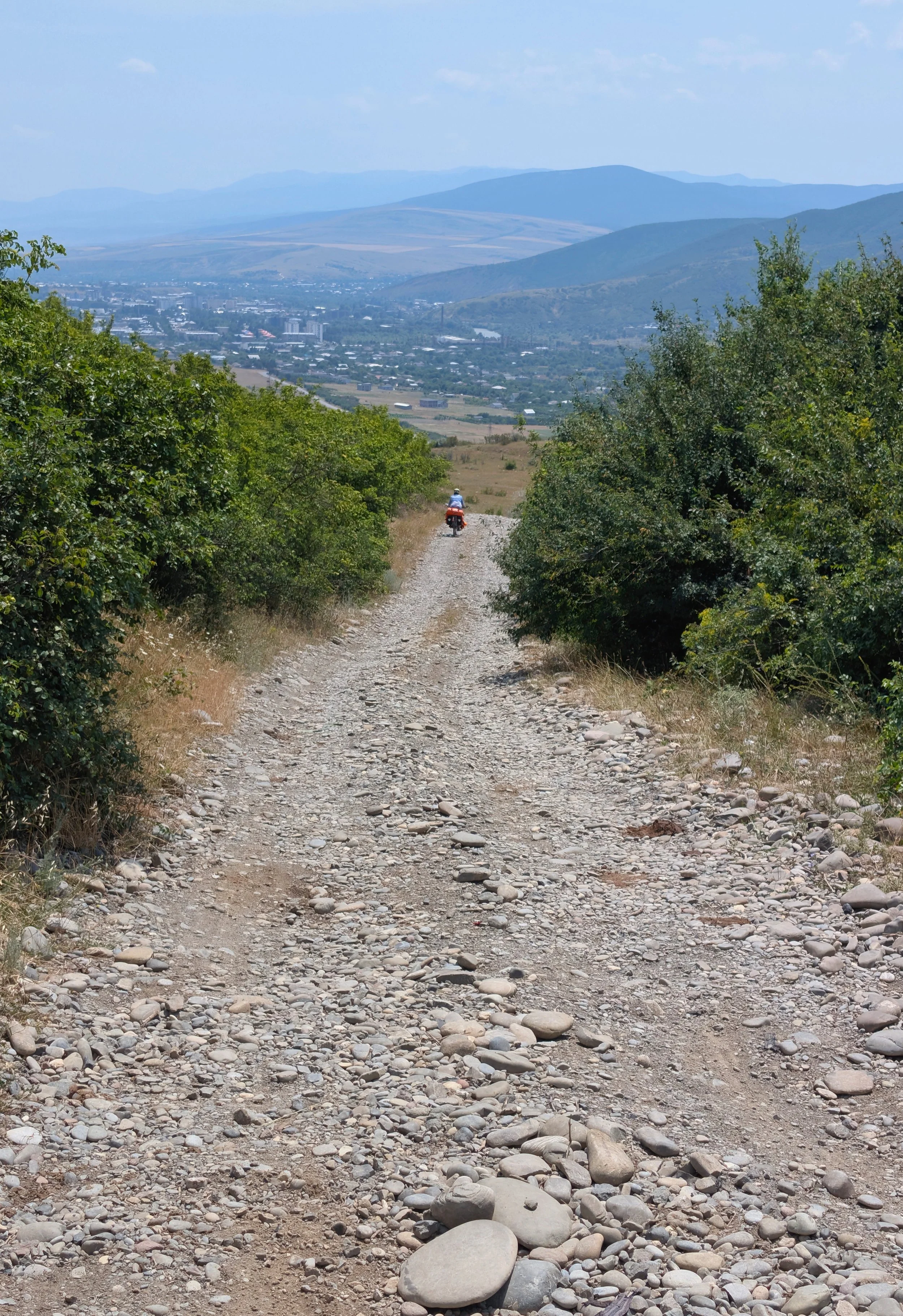 PXL_20250720_084134709.jpg