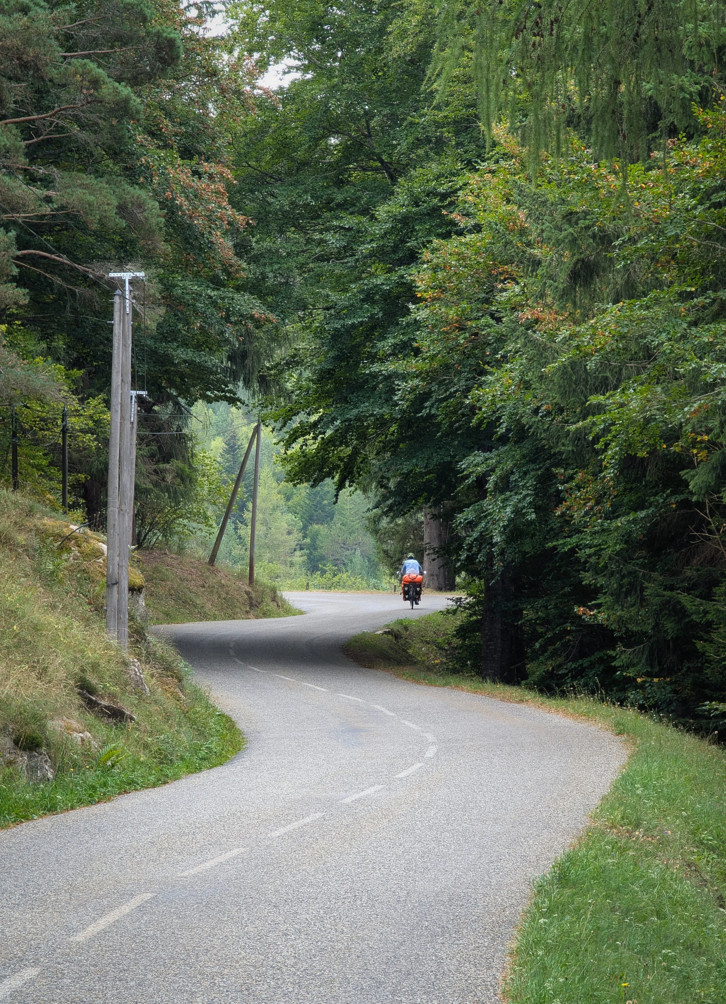 PXL_20250825_085308607.jpg