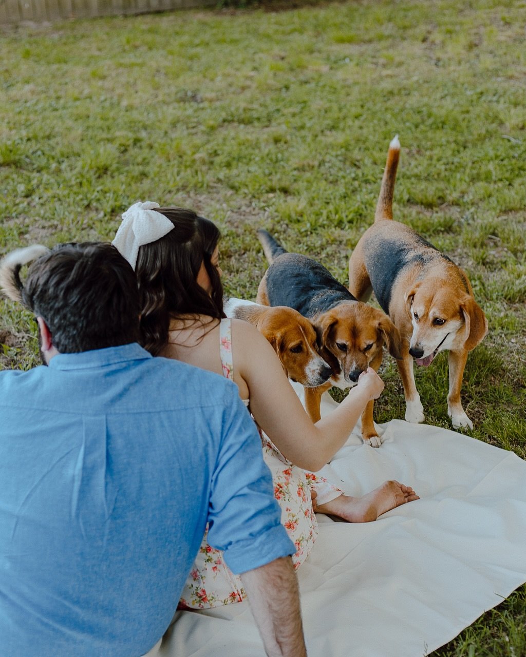 Backyard session - beagle edition 🥹 forever obsessed with these shots from R&amp;M&rsquo;s engagement photos!