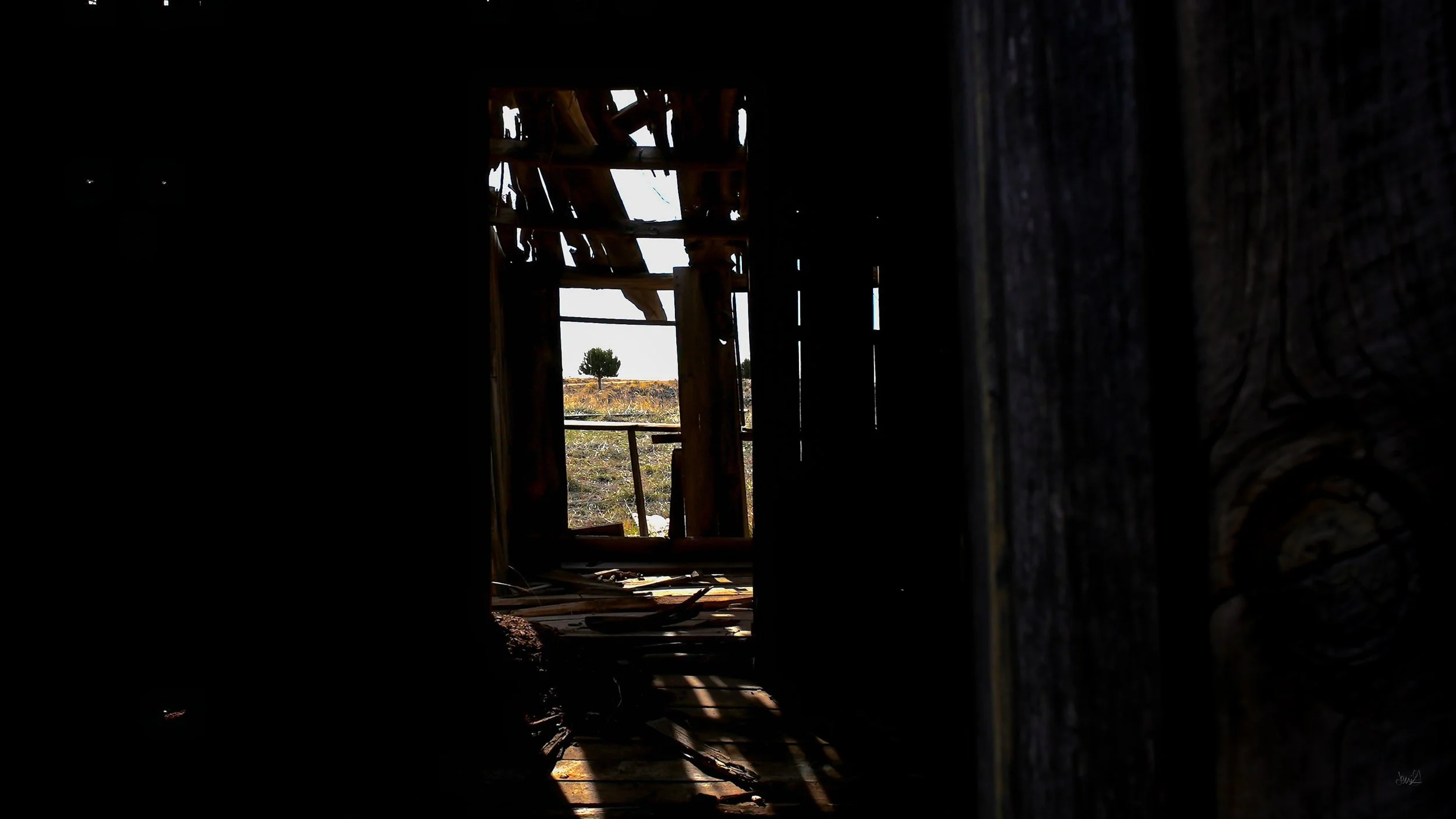 Interior of a dilapidated, broken-down building with a hole in the wall revealing a tree outside.