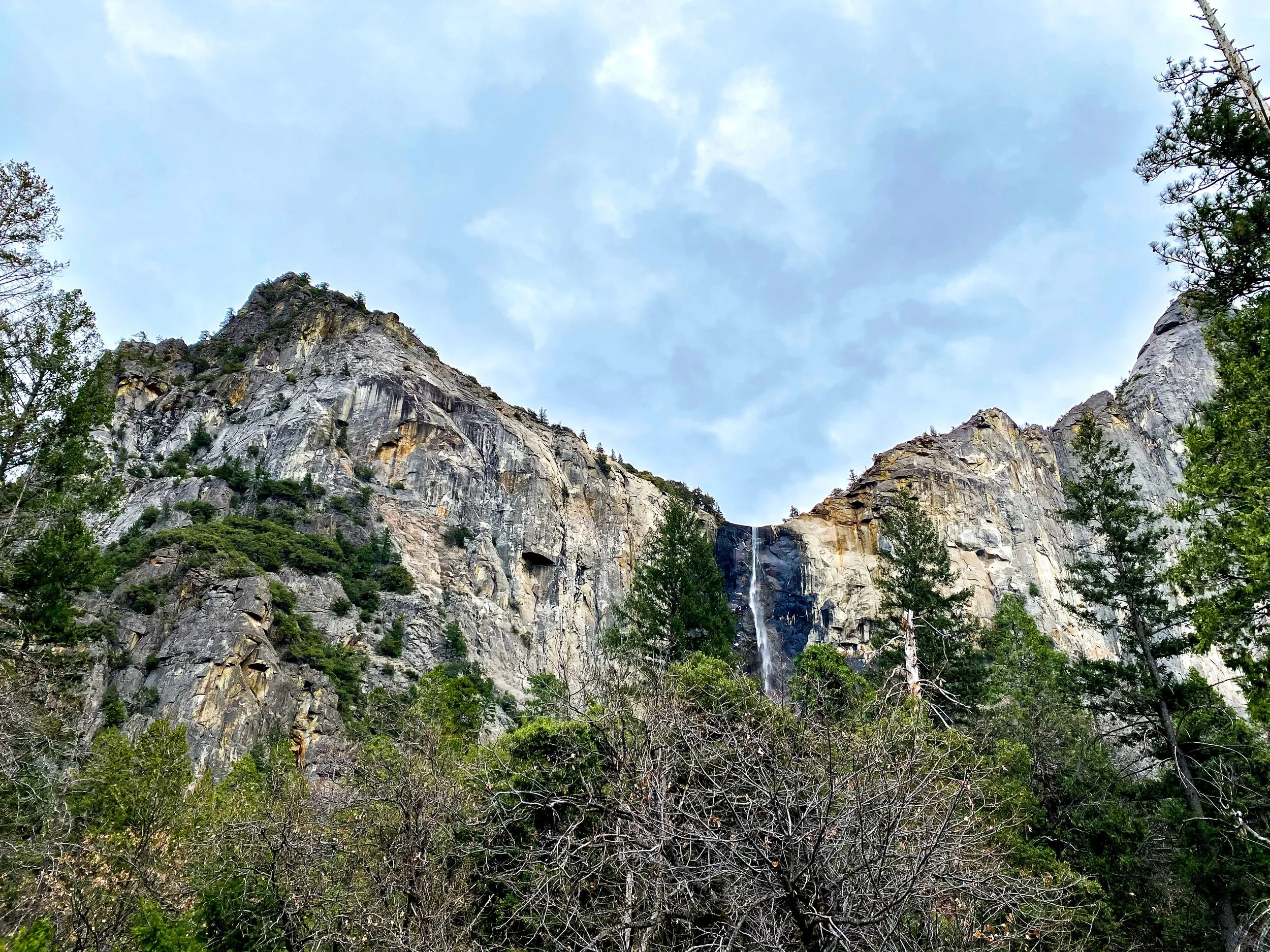 A rocky mountain with sparse trees at the top and a thin waterfall cascading down the cliff face, framed by green trees and shrubs at the bottom.