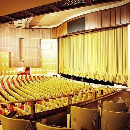 This Secret at Fisher Theater Shocked Every Theatergoer