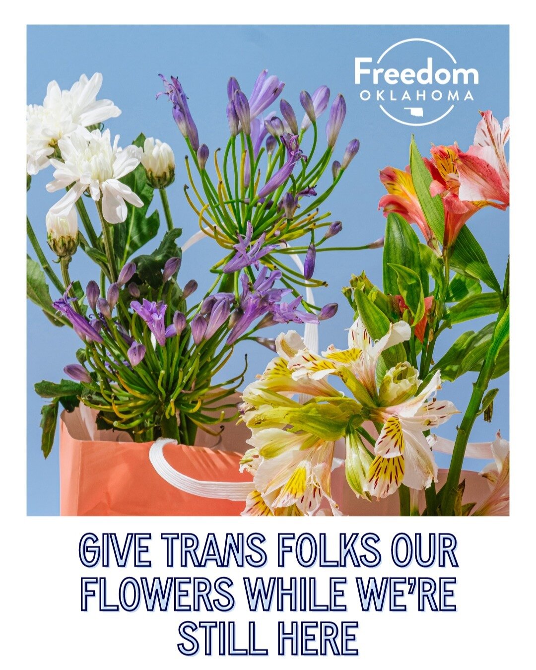 End Trans Week of Advocacy and Action by giving 2STGNC+ folks our flowers while we're still here! 

💙 Saturday, March 30th: Come out to @afterhoursmidtown in OKC between 1-4pm to share space with community, enjoy a portrait or family photo by @jessi