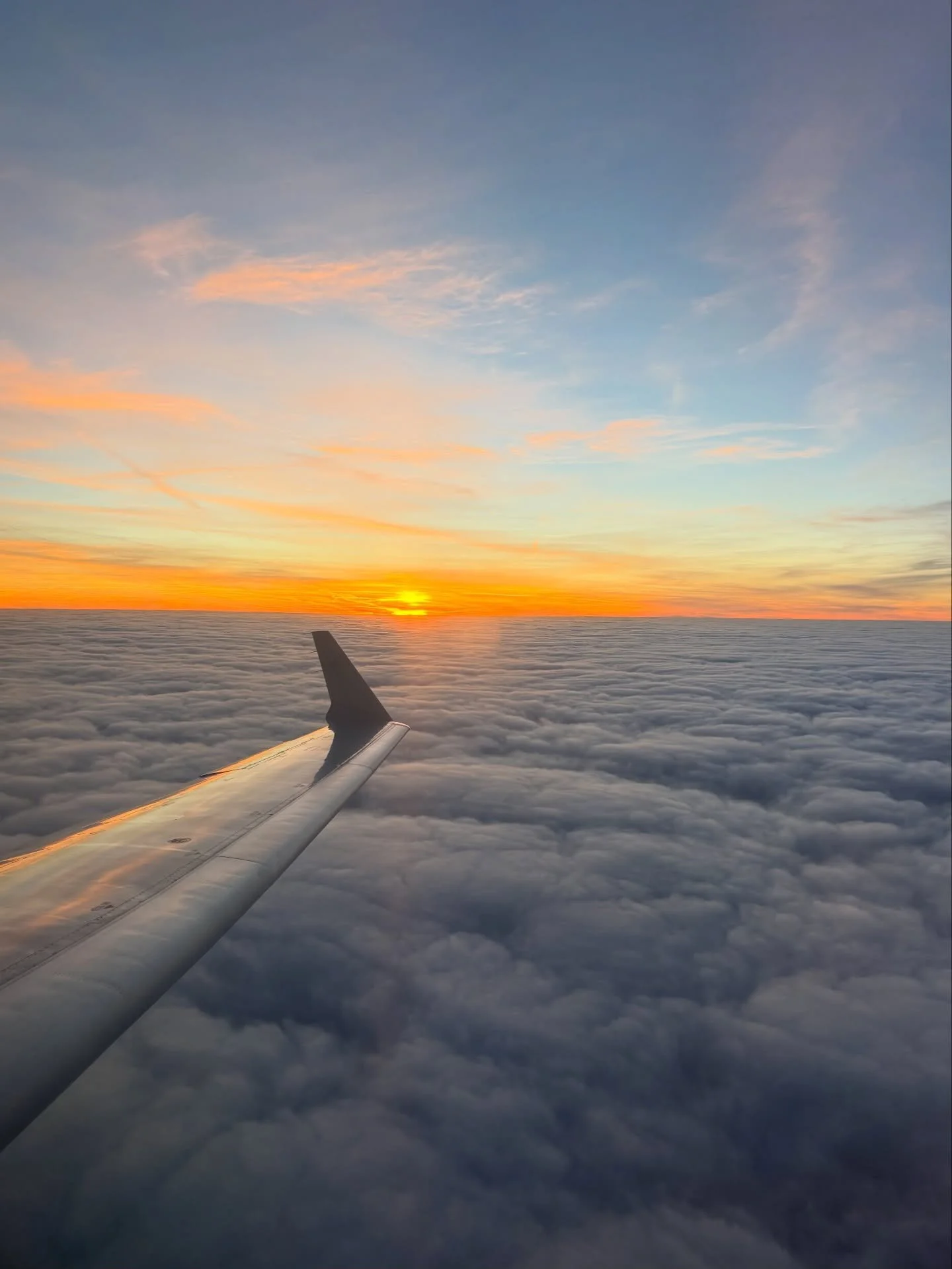 Flights and function. Our week in a nutshell.