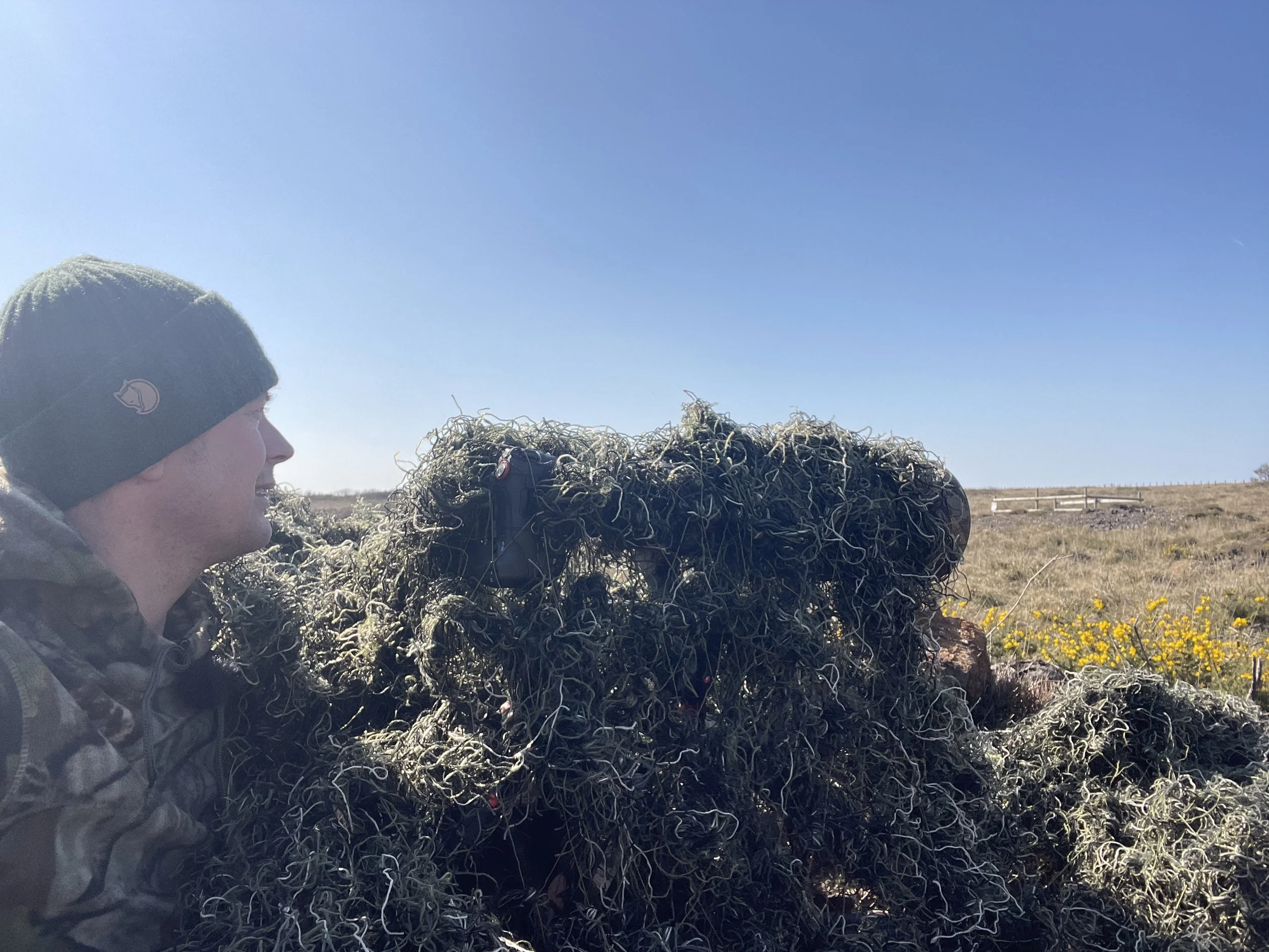 The Art of Disappearing: Why Camouflage Matters in Wildlife Photography