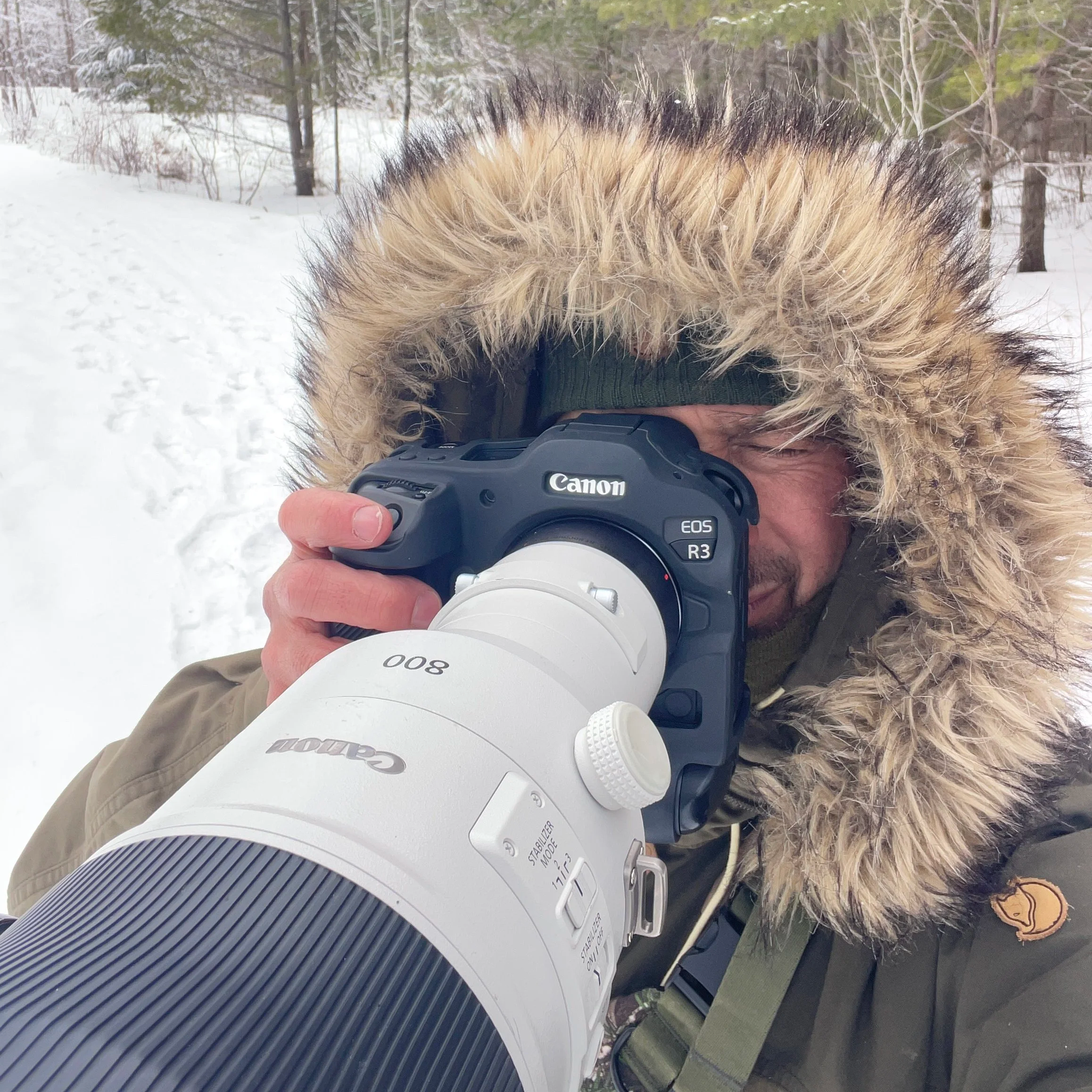 Canon EF 800mm f/5.6L IS vs RF 800mm f/5.6L IS – A Real-World Wildlife Perspective