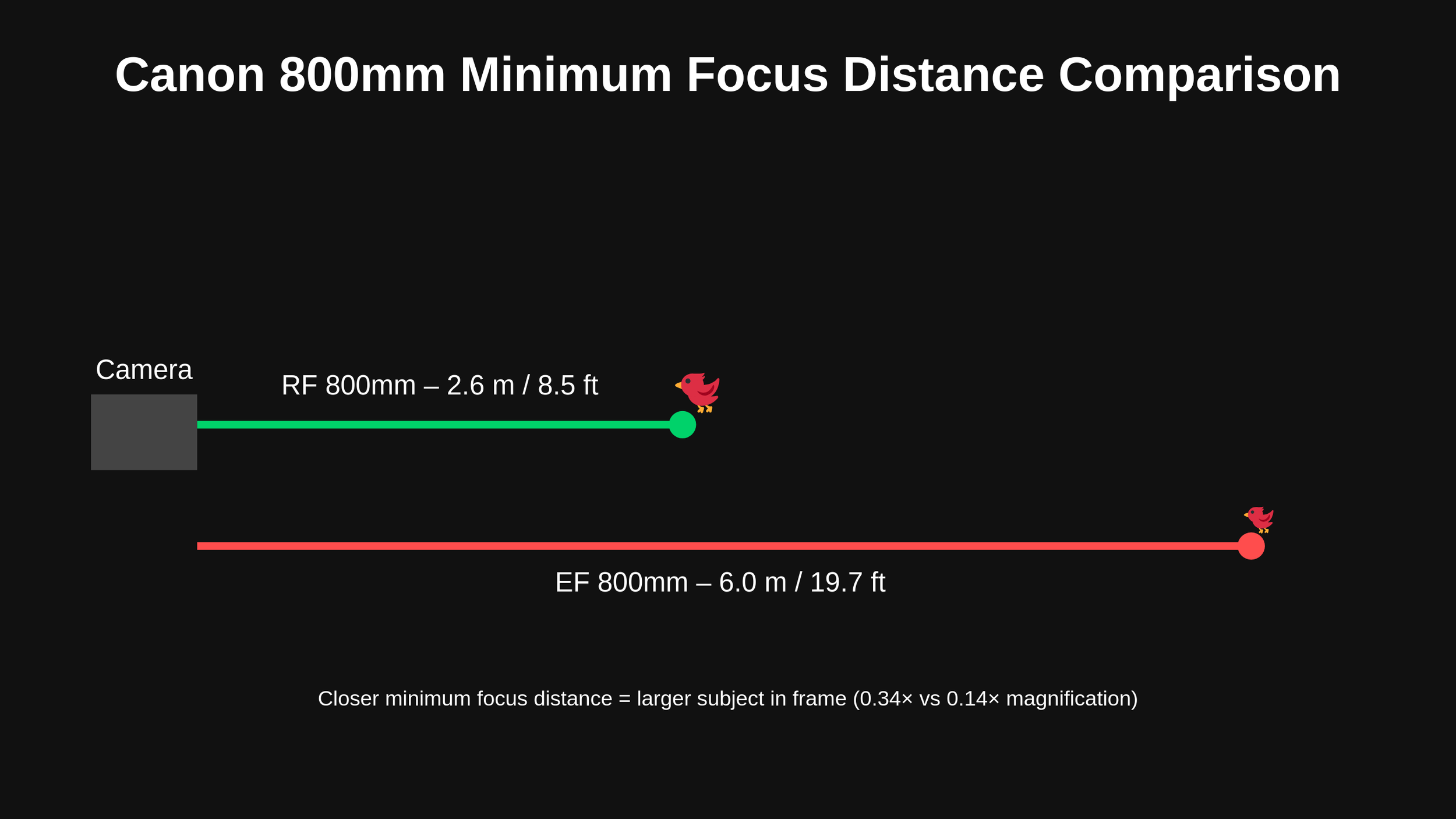 Canon EF 800mm f/5.6L IS vs RF 800mm f/5.6L IS – A Real-World Wildlife ...