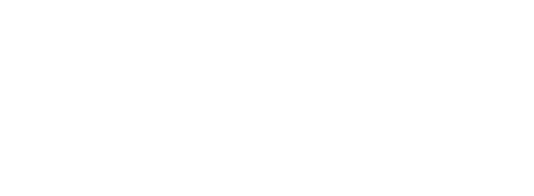 Middle Street Capital