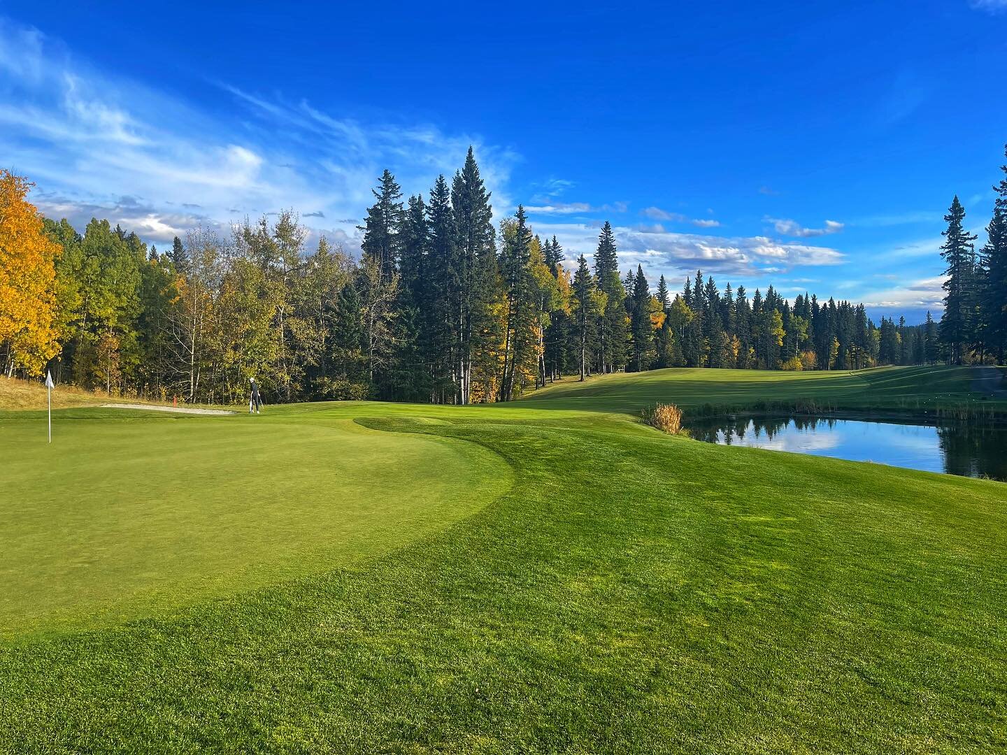 Those fall colours showing off at @priddisgreens 😍⛳️

&bull;
&bull;
&bull;
#golflifeab&nbsp;#golf&nbsp;#golflife&nbsp;#golflifestyle&nbsp;#golfer&nbsp;#instagolf&nbsp;#golfstagram&nbsp;#golfing&nbsp;#alberta&nbsp;#yeg&nbsp;#yeggolf&nbsp;#exploreedmo