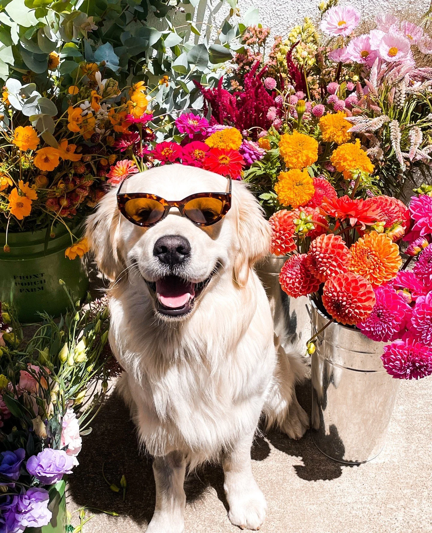 Happy Summer Solstice! 🌞 Bring on the summer blooms! We&rsquo;re fully booked through August and have a few more fall/winter dates available. Drop us a line to start planning 💐💐