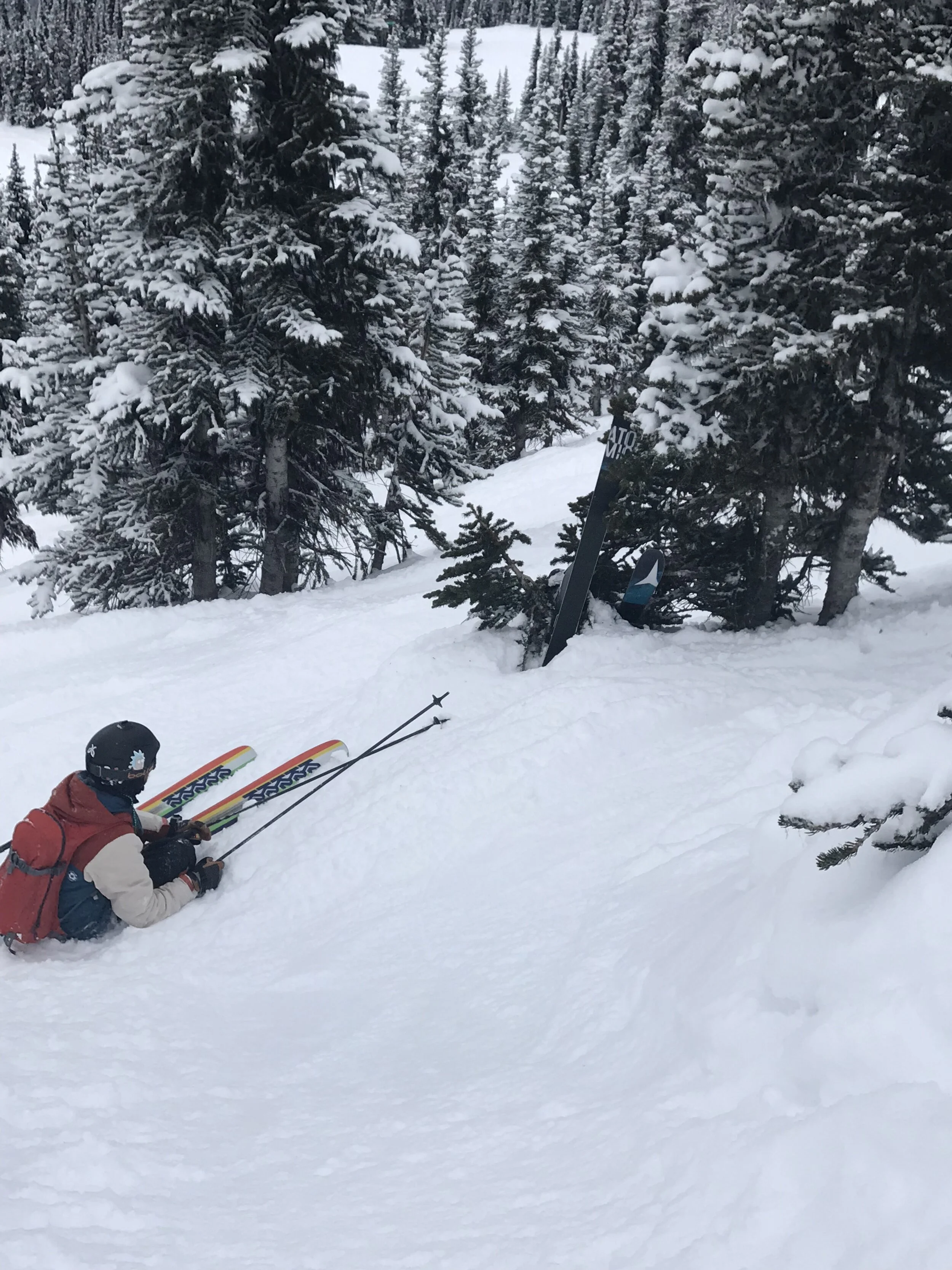 scott in a tree too.jpeg