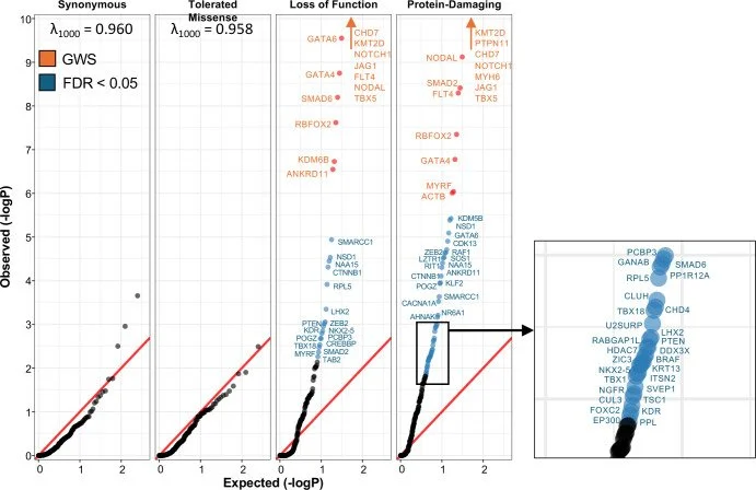 Two papers on the genetics of CHD 