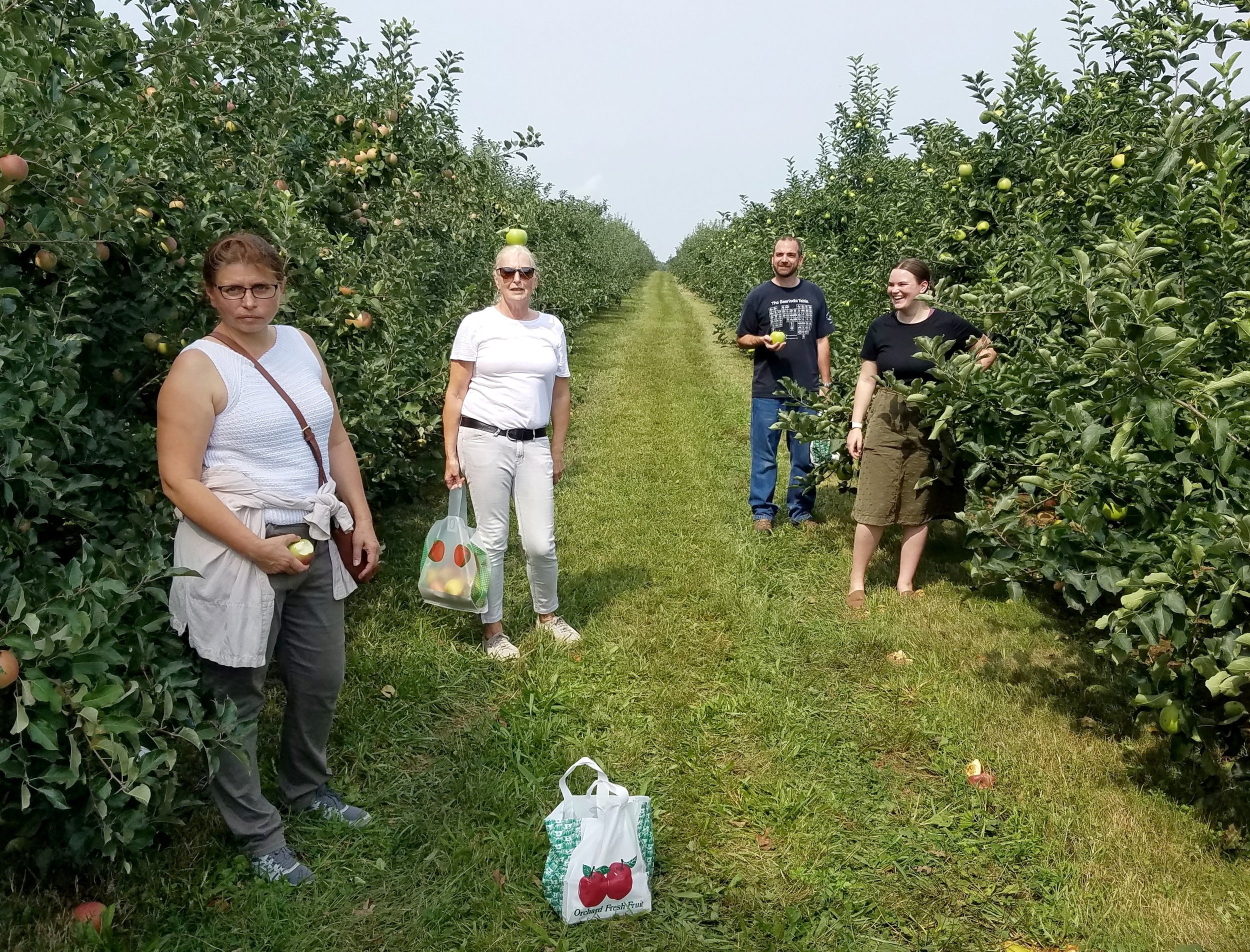 A great day for pear picking!