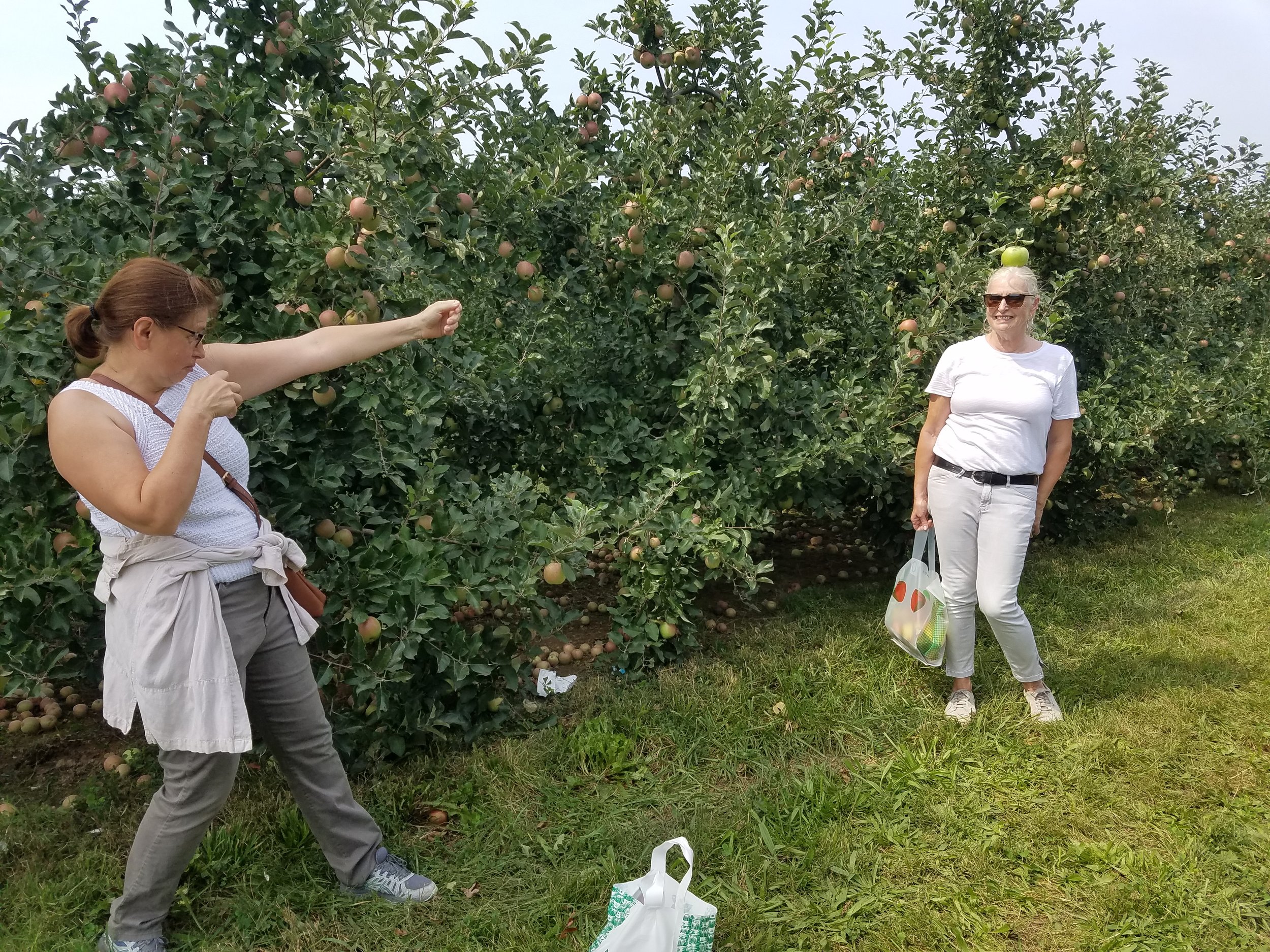 A great day for pear picking!