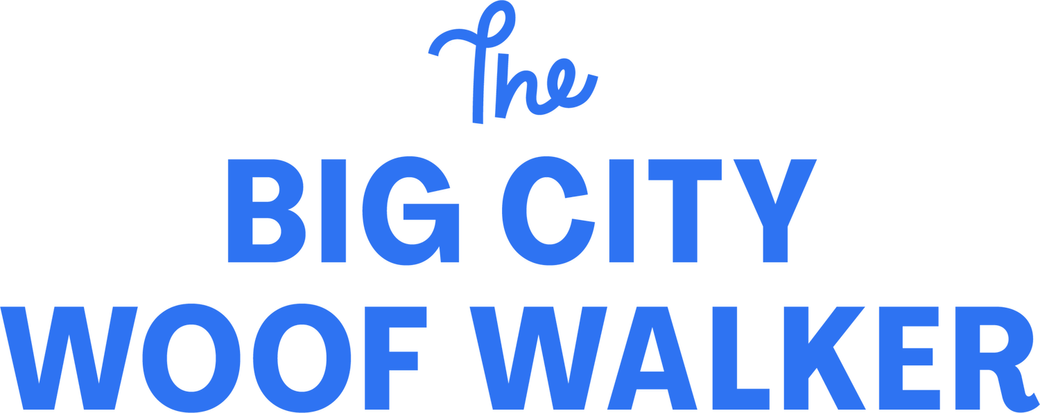 The Big City Woof Walker