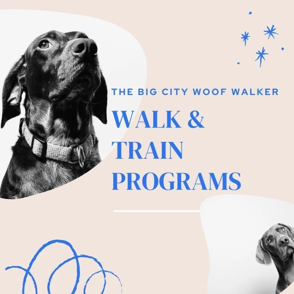 NYC Walk & Train — The Big City Woof Walker