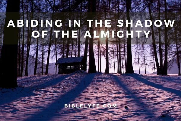 Abiding in the Shadow of the Almighty: The Comforting Promise of Psalm 91:1