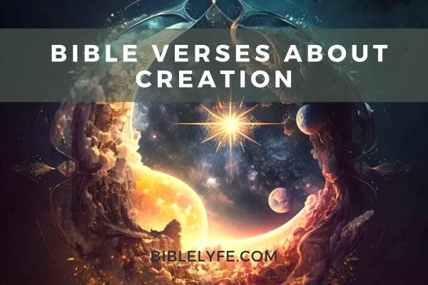 23+ Bible Verses About God's Creation (With Commentary) - Scripture Savvy
