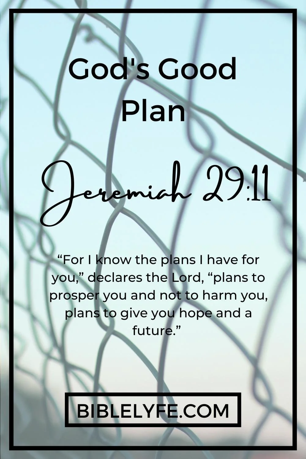 God’s Good Plan A Devotional on Jeremiah 2911 — Bible Lyfe