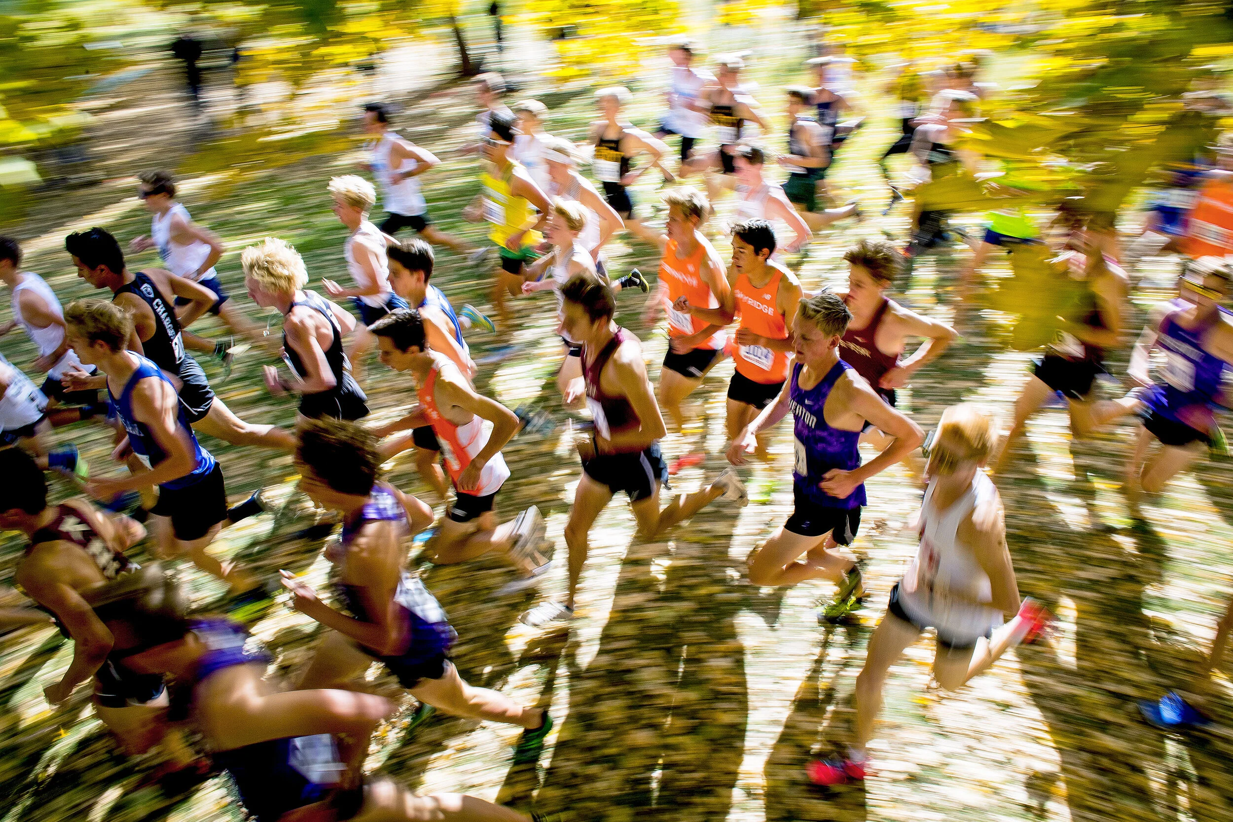 Runners make their way along the course during the 6A boys race as part of the state cross country meet Wednesday, Oct. 23, 2019, at Sugar House Park in Salt Lake City, Utah.