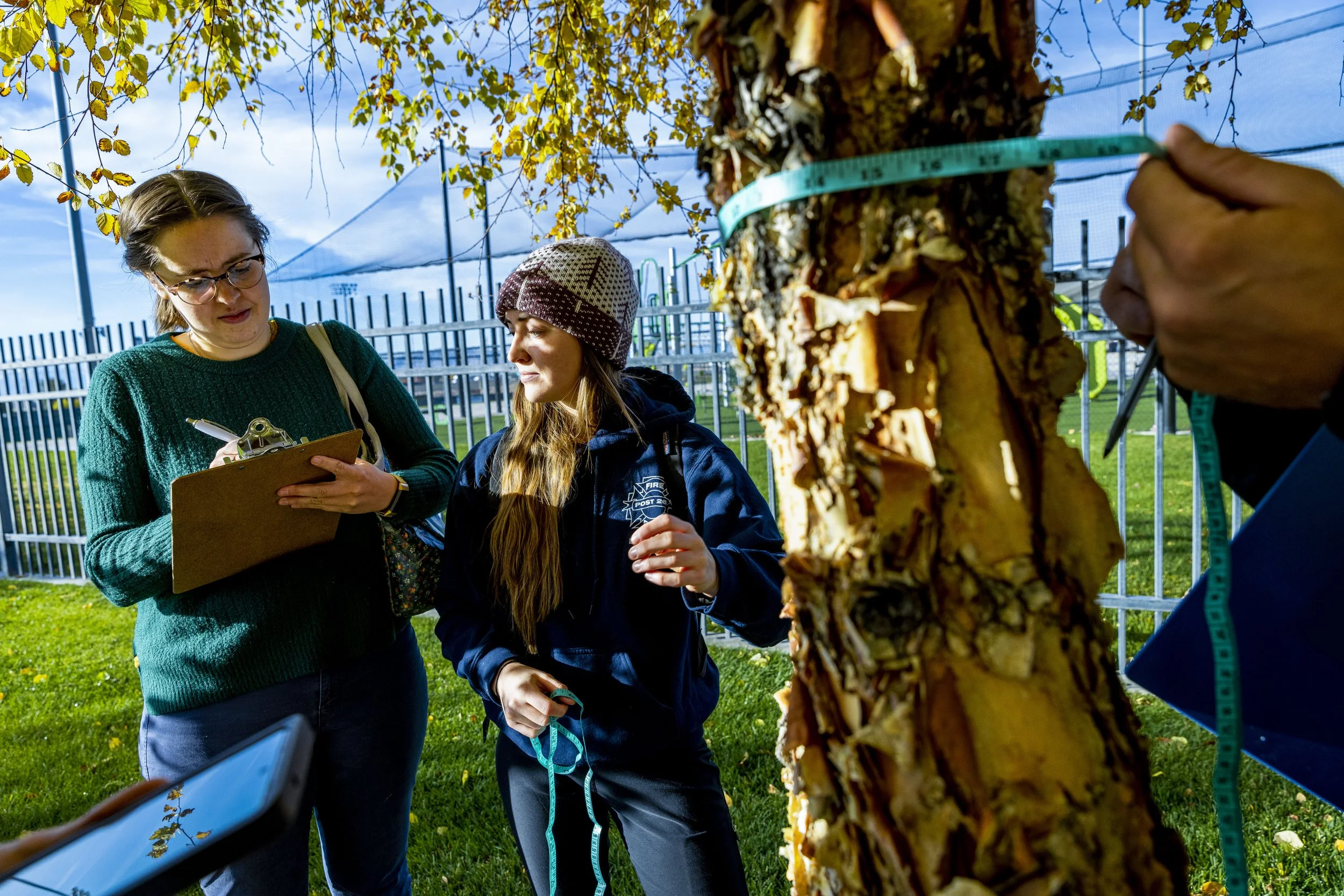 for: Utah Valley University (Orem, Utah)