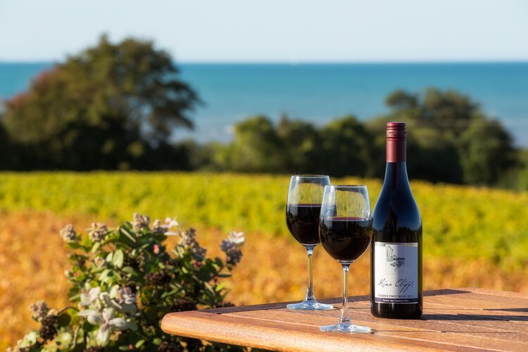 Experience Kina Cliffs Vineyard on two wheels