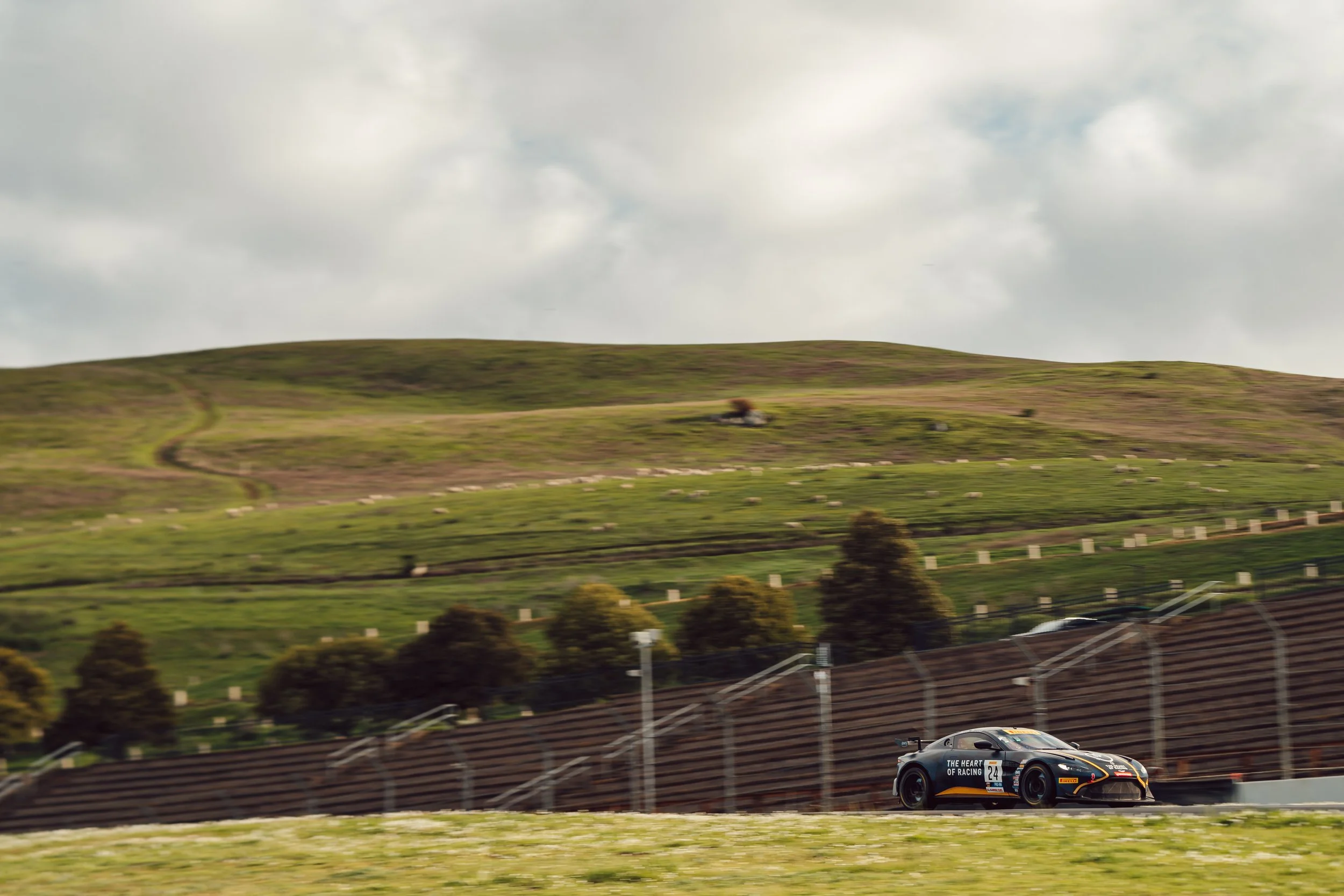 Xynamic_GTAMERICA_SONOMA_DB_A9_05559.jpg