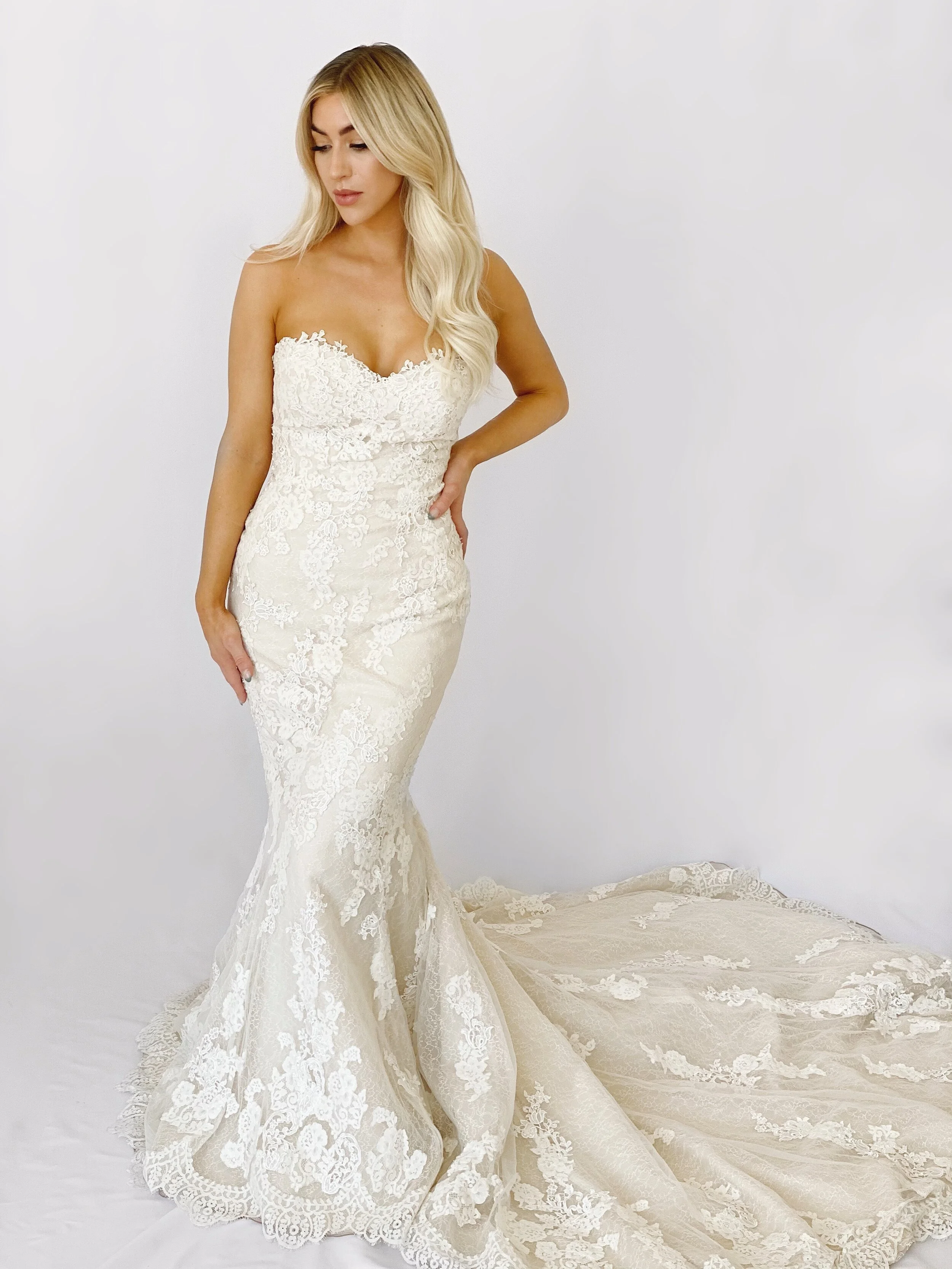 pronovias princia wedding dress