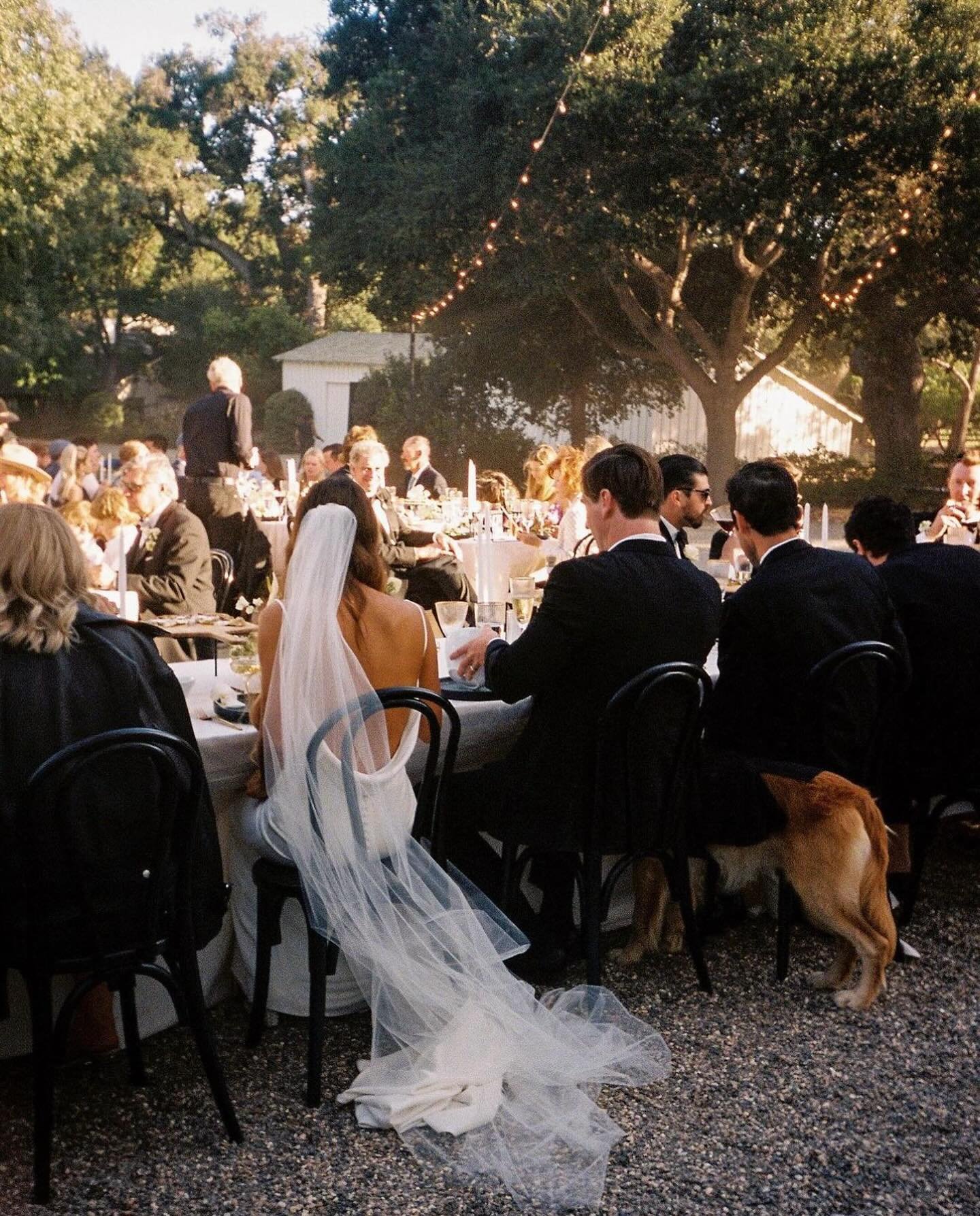 The dreamiest outdoor reception. The Archie gown by @madewithlovebridal on a stunning bride. And a pup.✨ Doesn&rsquo;t get much better than that!

Photography: @hallemorganwed
Bride: @_annecorrigan
Venue: @lieffranch
Planner: @array_creative_design

