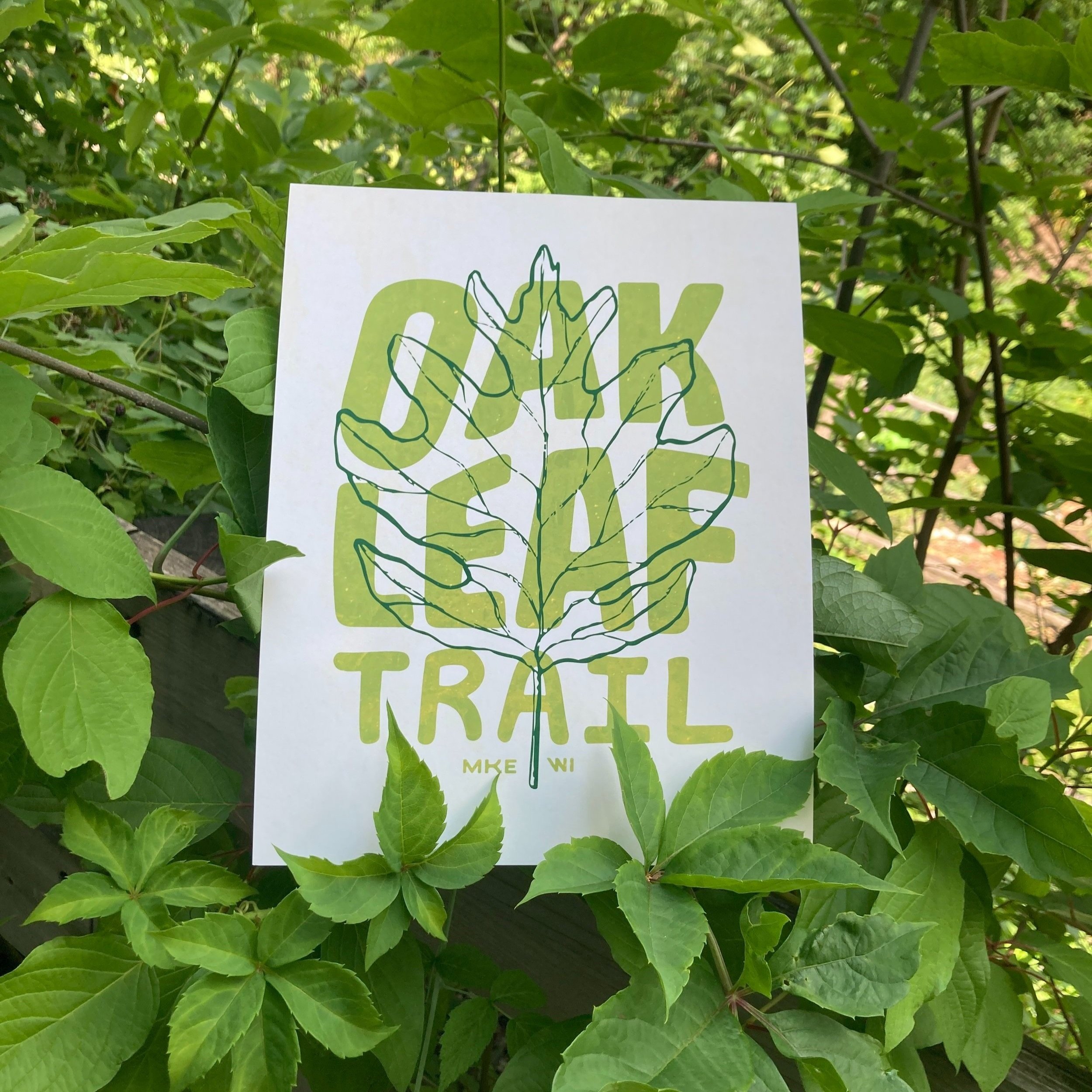 Oak Leaf Trail Print