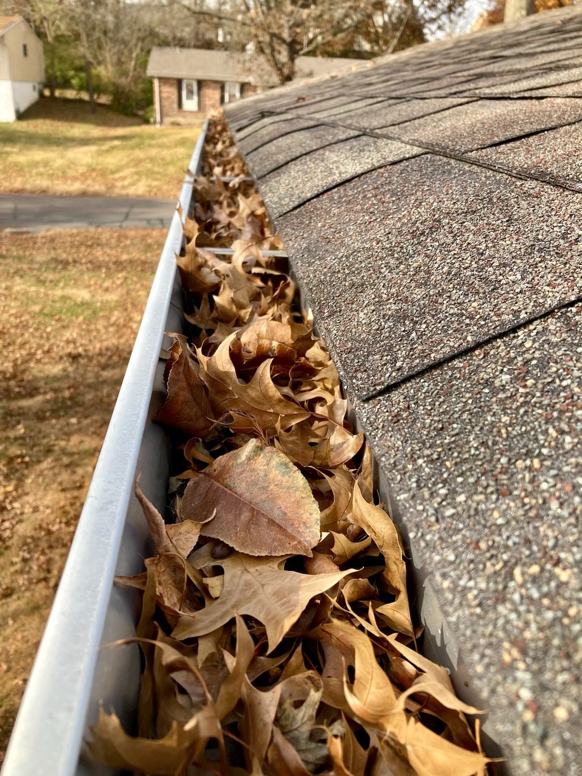 top rated gutter cleaning company st louis