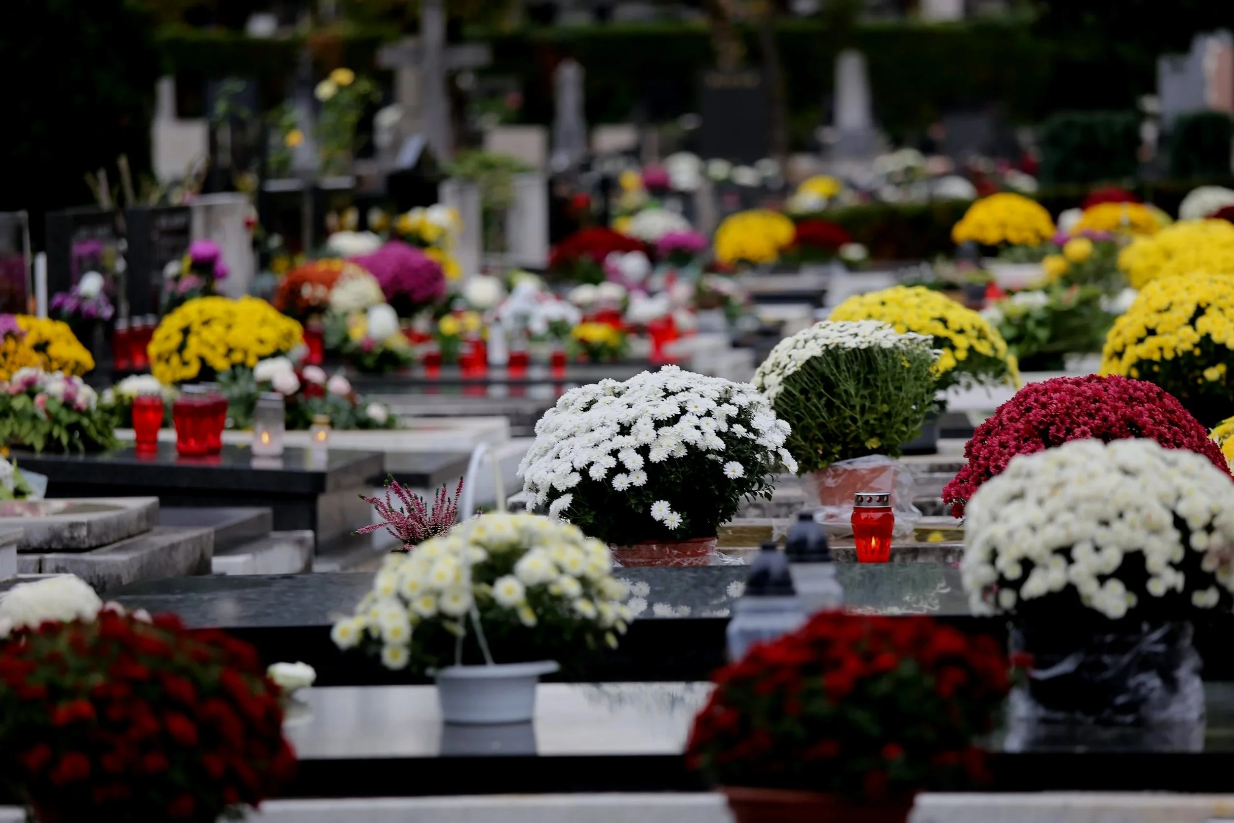 cemetary with above ground black, grey, and white tombs. candles in red glass and white, yellow and yellow flowers over every tomb