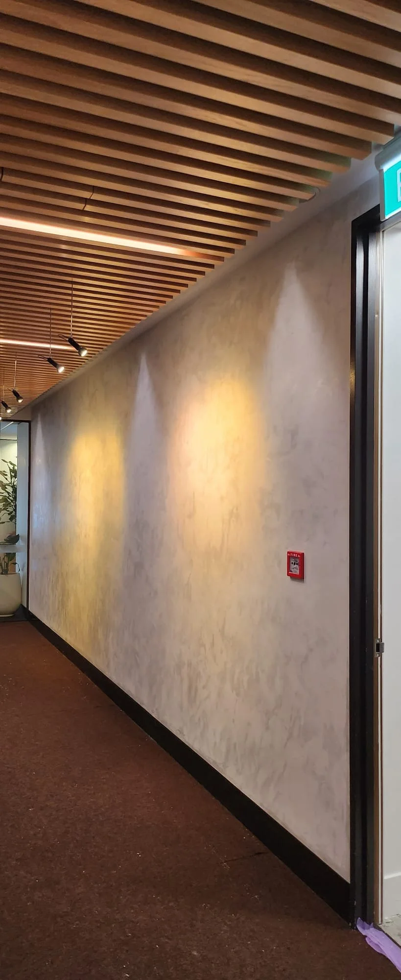 Tauranga Painters. Tauranga Plasterers. Bay of Plenty Painters. Bay of Plenty Plasterers. Bay of Plenty Painters