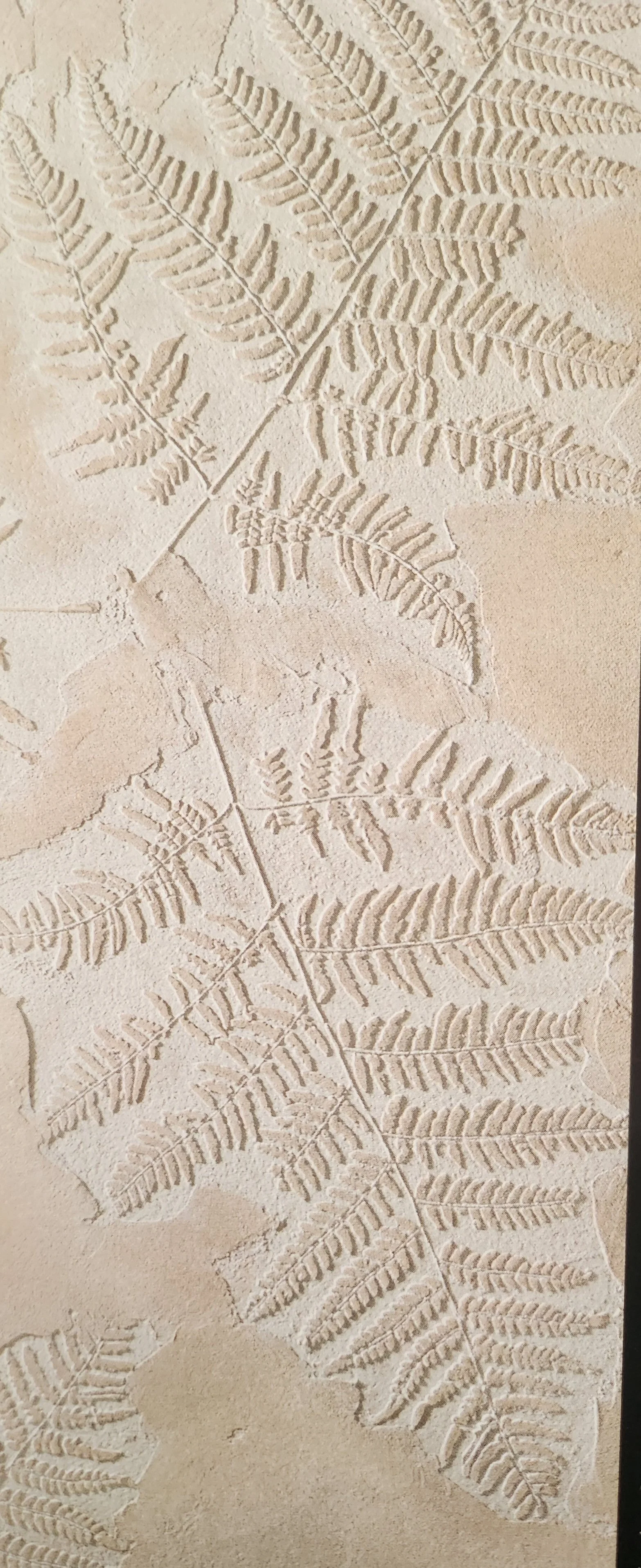 Imprint of fern leaves in the sand or plaster wall.