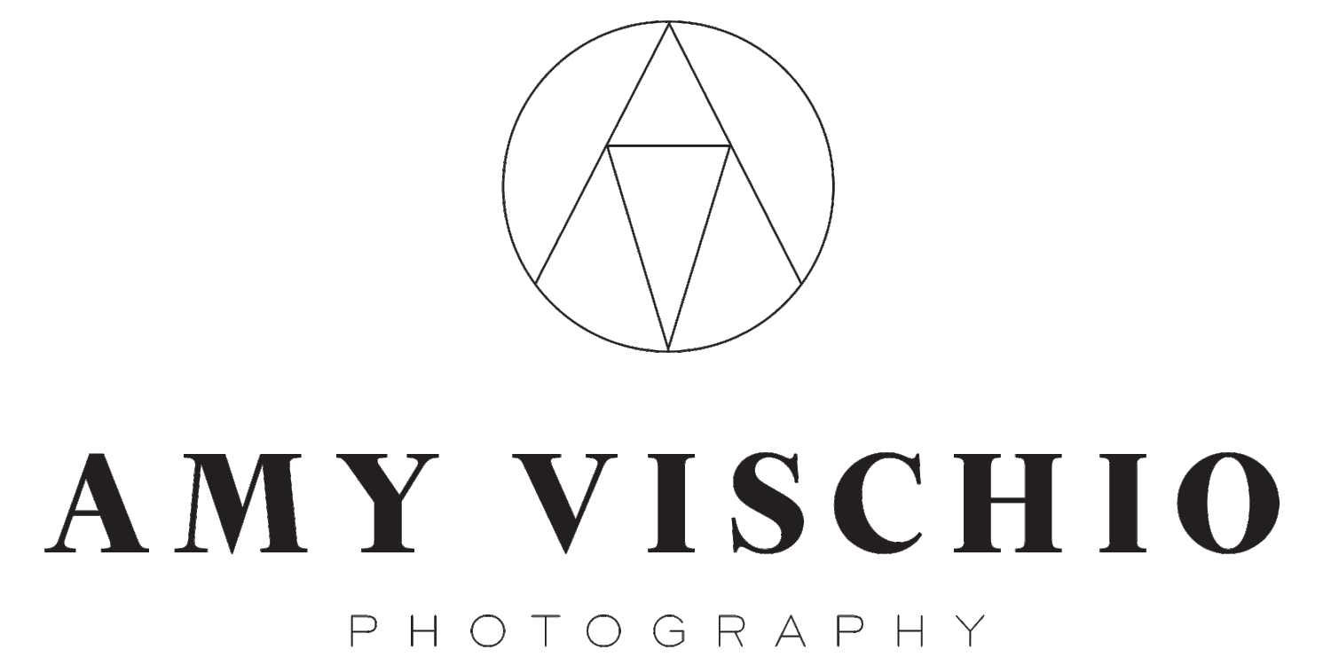 Amy Vischio Photography &amp; Art