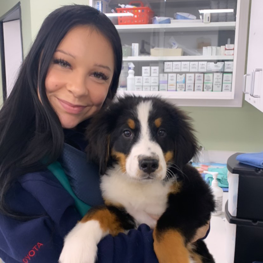 Jessalyn G - Veterinary Assistant.png