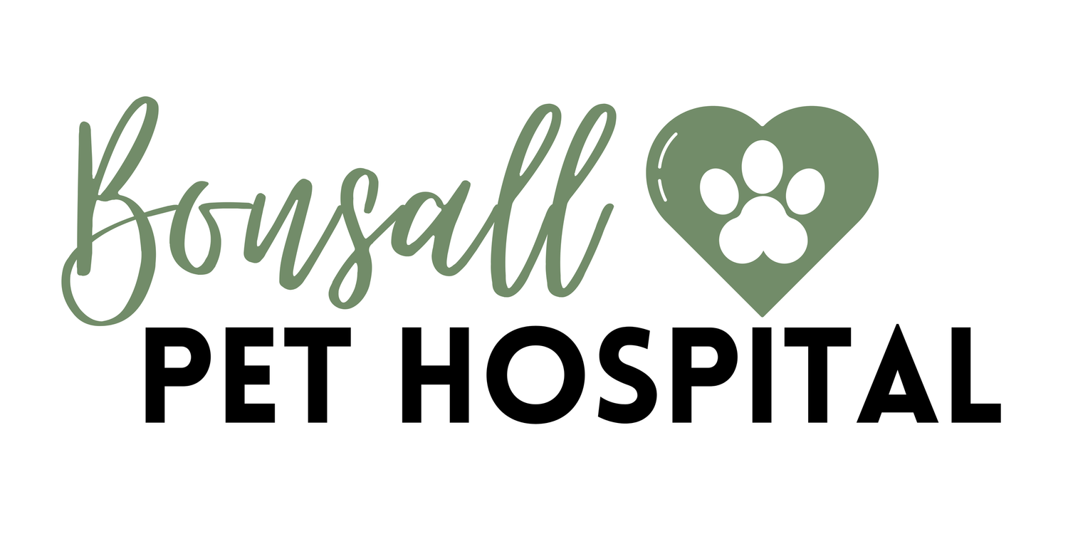 Bonsall Pet Hospital