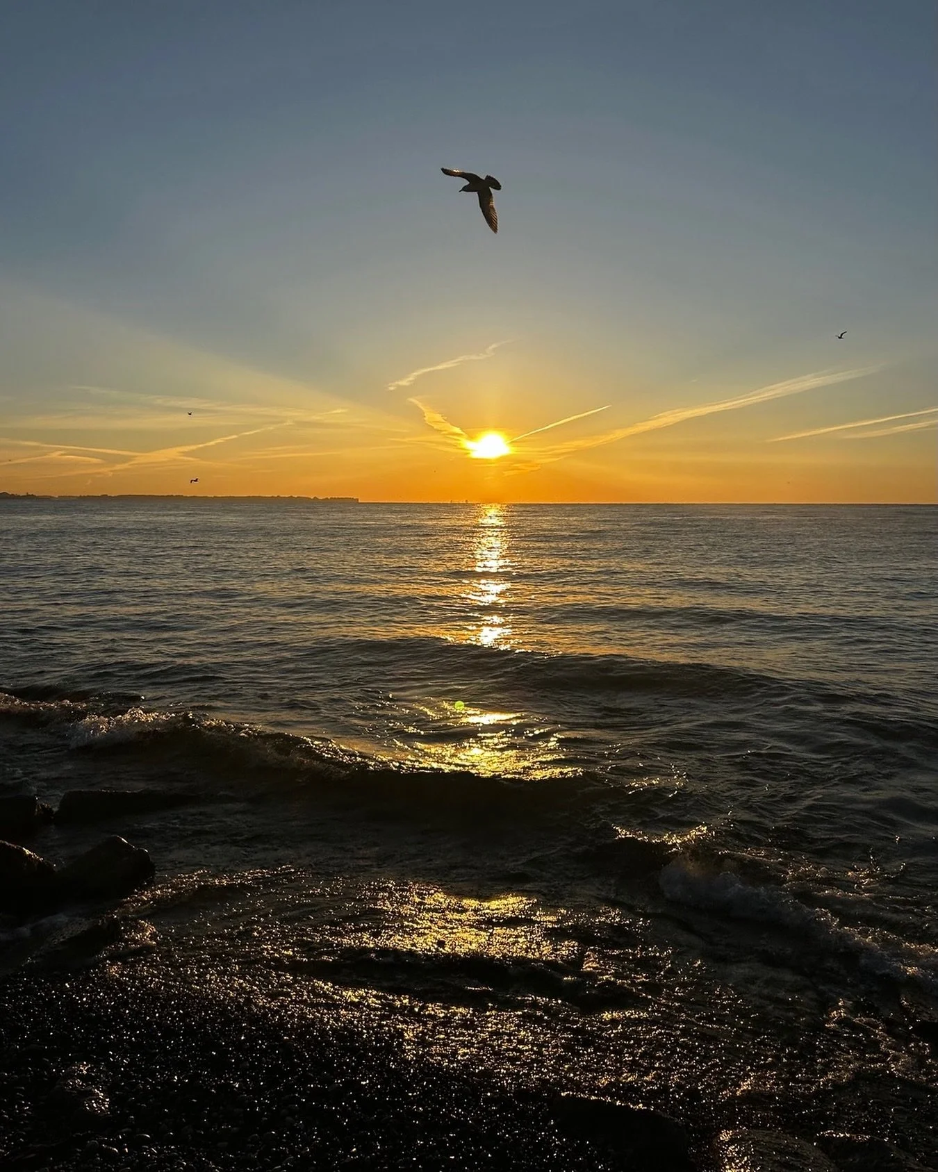 Even the sun has wings today. Bringing in believing energies this morning. Visit giving.camh.ca &amp; double your impact 🌿@worldmentalhealthday @camhnews #donatetoday #doubleyourimpact