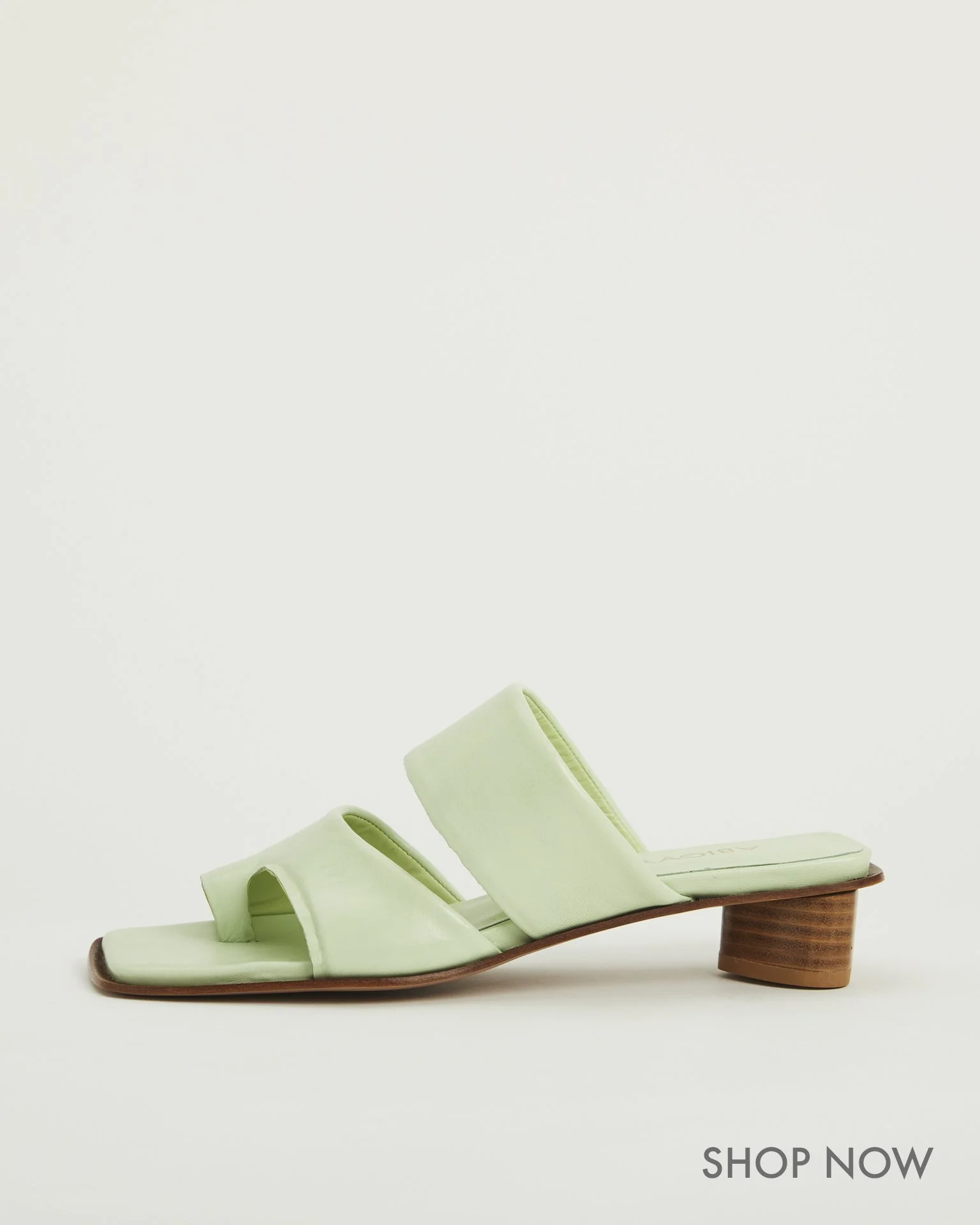 BROOKE THONG PLANT 3.jpg