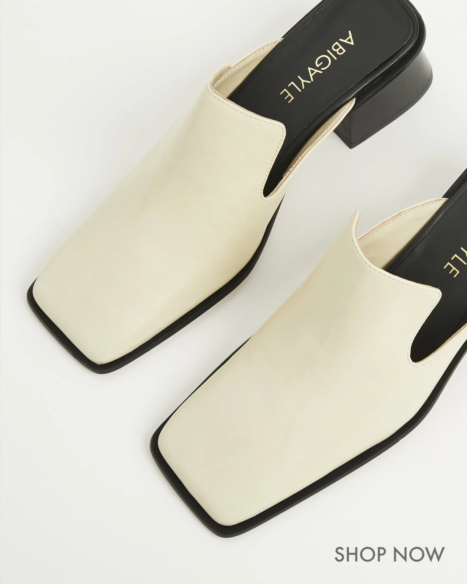 LUPFER MULE SALINAS 4.jpg