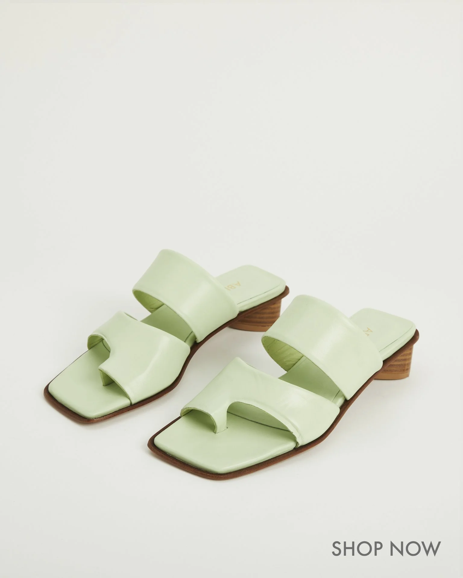 BROOKE THONG PLANT 1.jpg