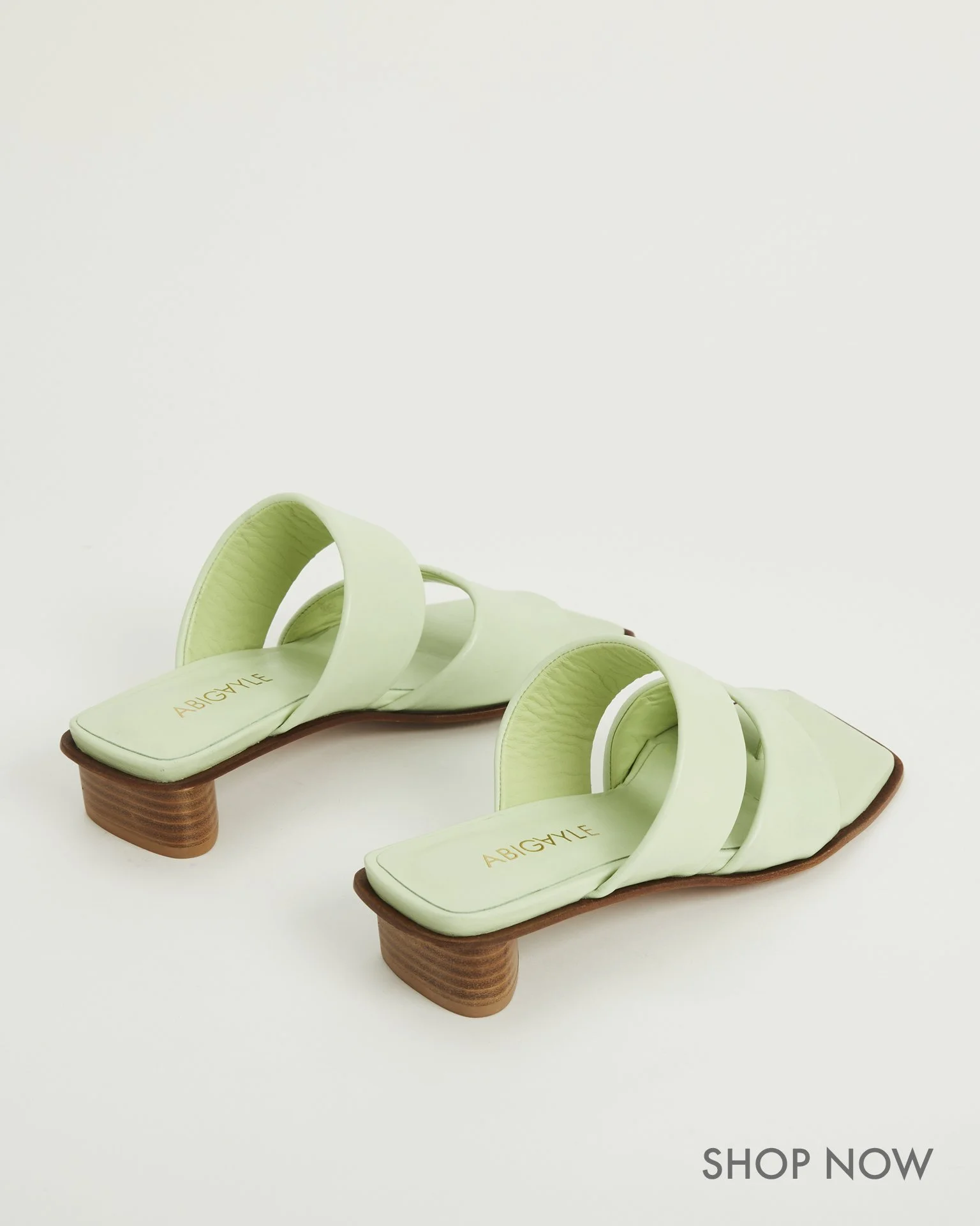 BROOKE THONG PLANT 2.jpg