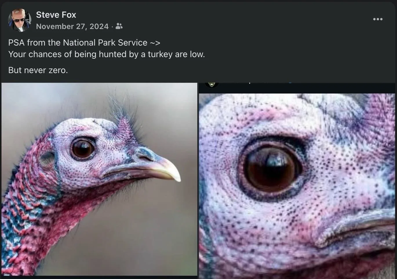 Something to be mindful of this Thanksgiving. The odds are never zero.