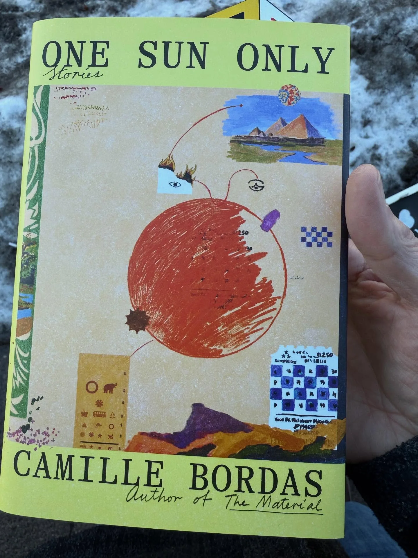 Just arrived at @chapter2bookshudson - One Sun Only, Camille Bordas @c_bordas Stories are complex forays into realms of plausible magic.