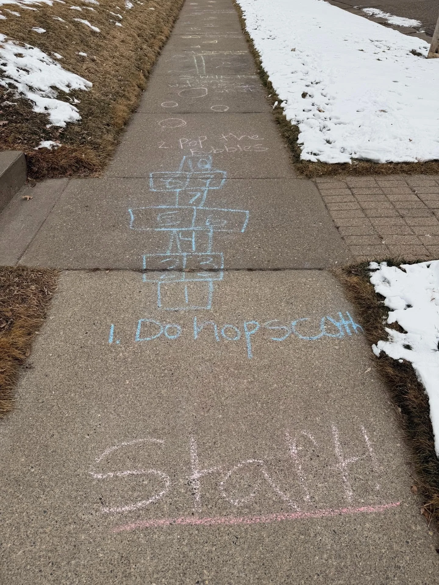 Working the joy at -5 F with sidewalk chalk. 
#thesearemypeople