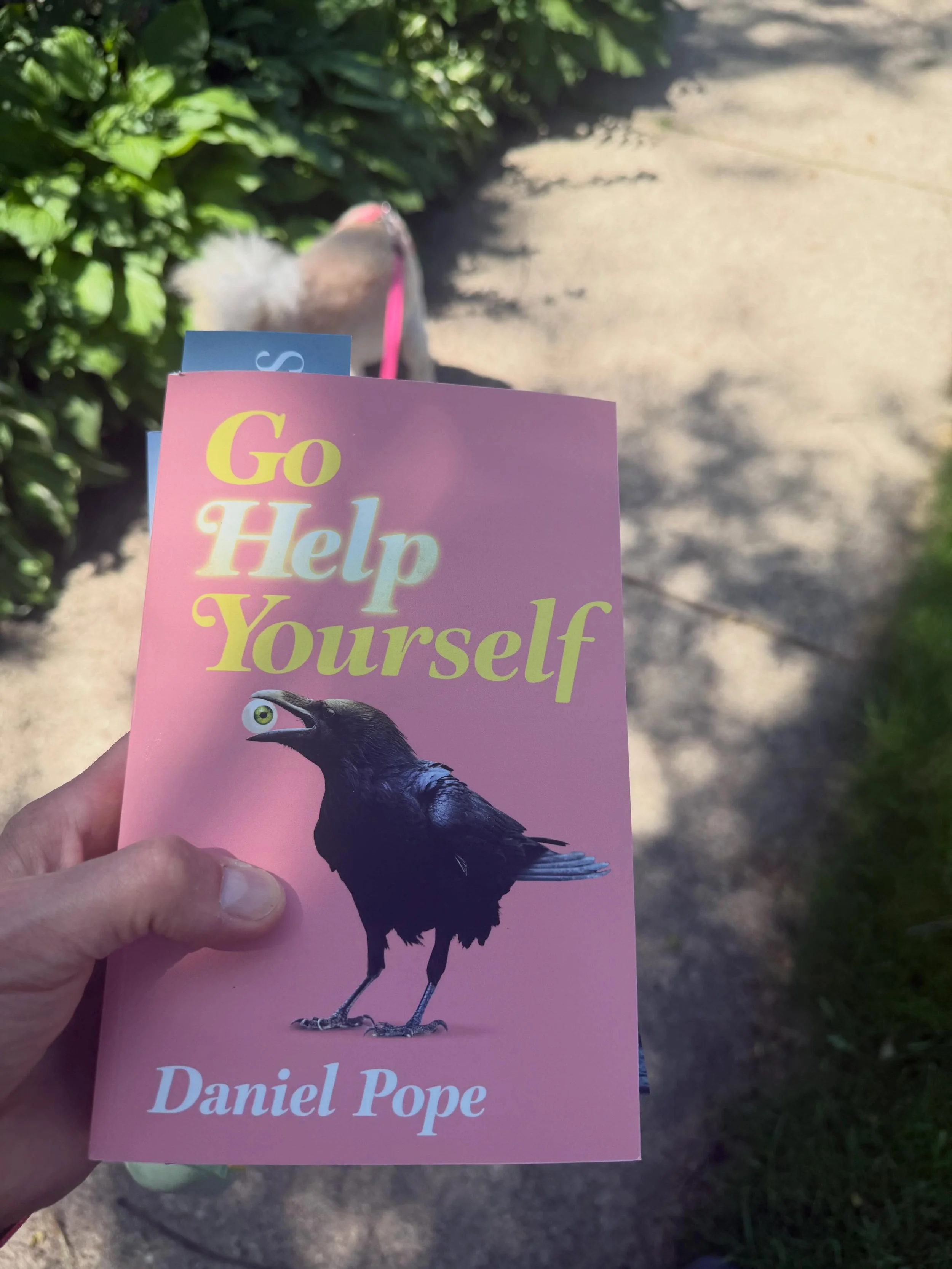 Just grabbed my old friend @panieldope &lsquo;s debut novel from @uno_press at my local @chapter2bookshudson. Cutting, funny, tender. &ldquo;Captures vicissitudes of Millennial life today.&rdquo; &mdash; John Keene, National Book Award winner