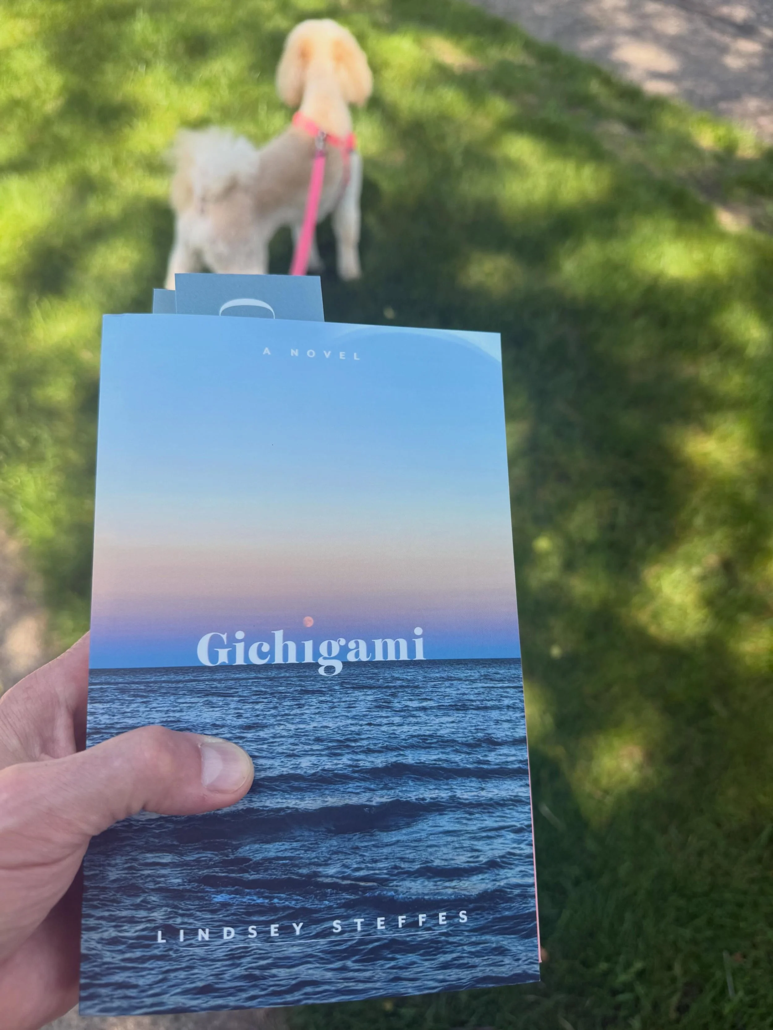 Ice highways and a mother&rsquo;s disappearance. Edna Ferber Fiction Book Award winner, Gichigami, the great American debut novel by @lindseymariesteffes. Thanks to my local @chapter2bookshudson  for getting it in.

Golden doodle, keeping book-holder