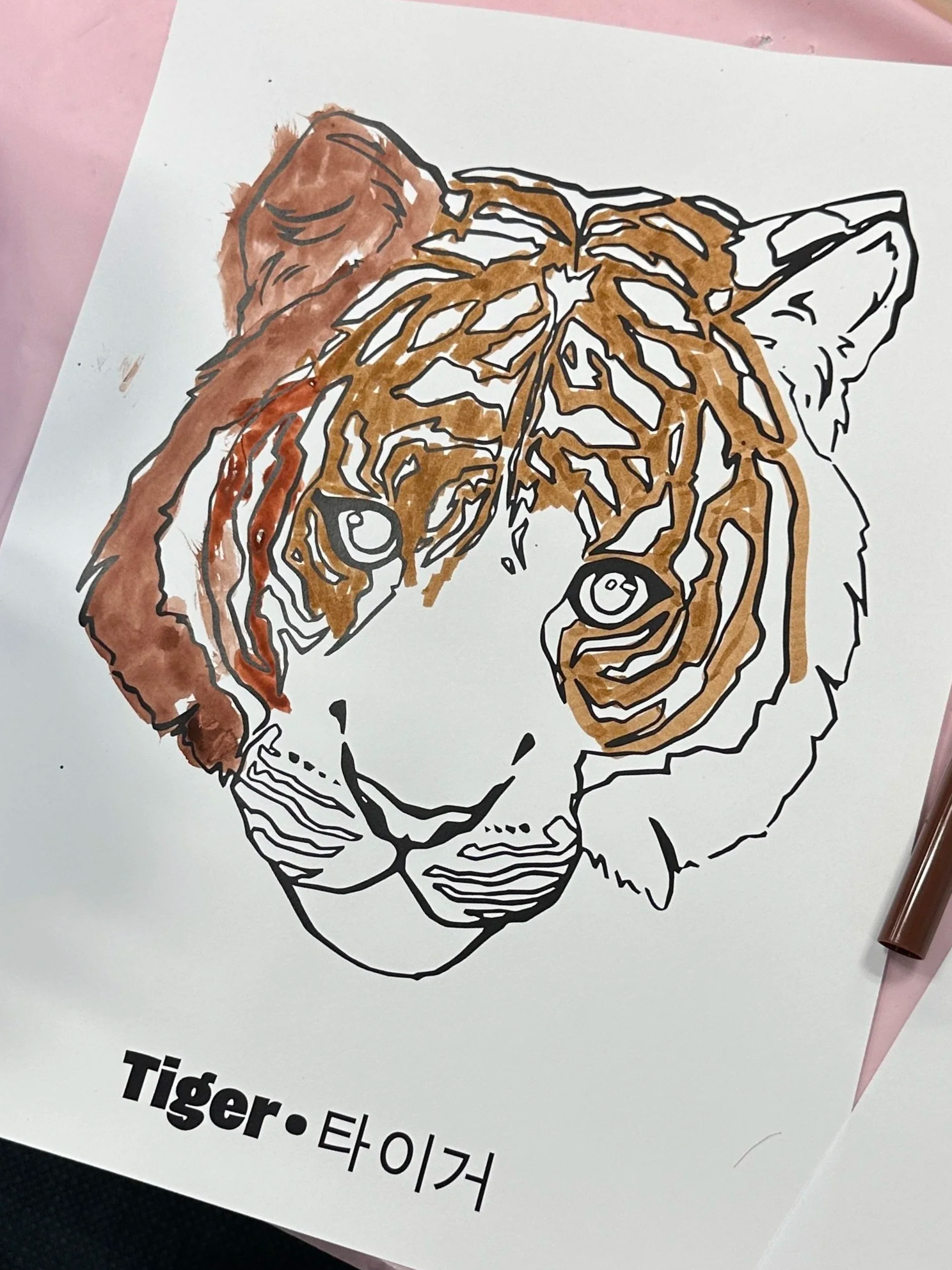 IMG_4917.png